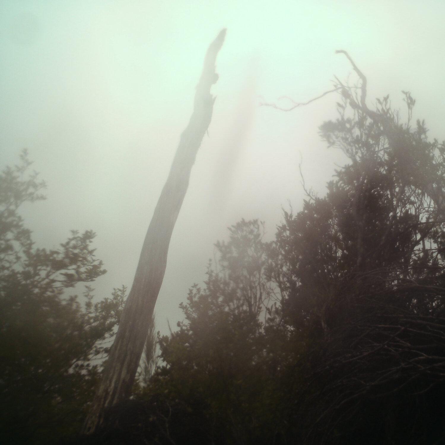 A photo captured from the webcam at the time the audio was recorded