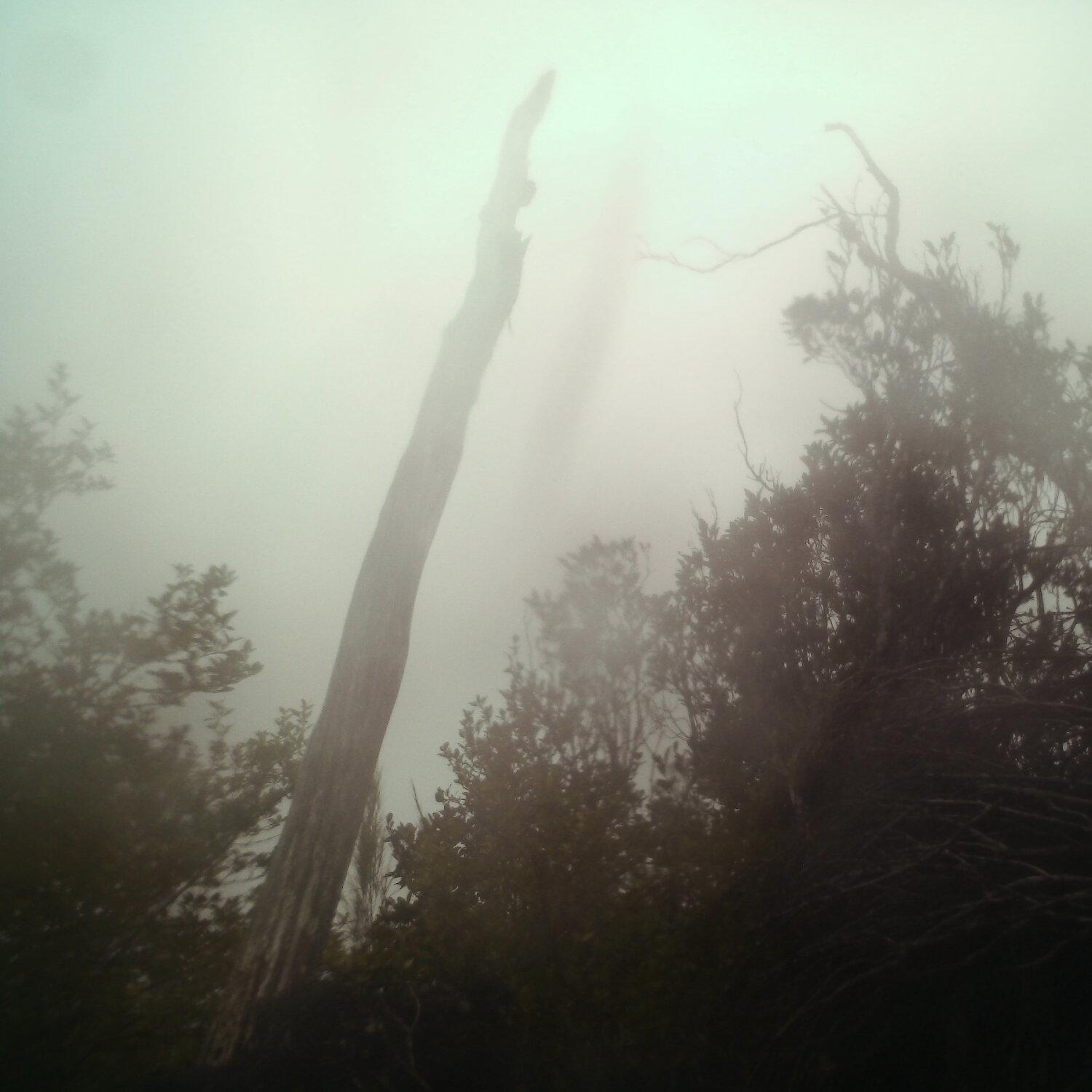 A photo captured from the webcam at the time the audio was recorded