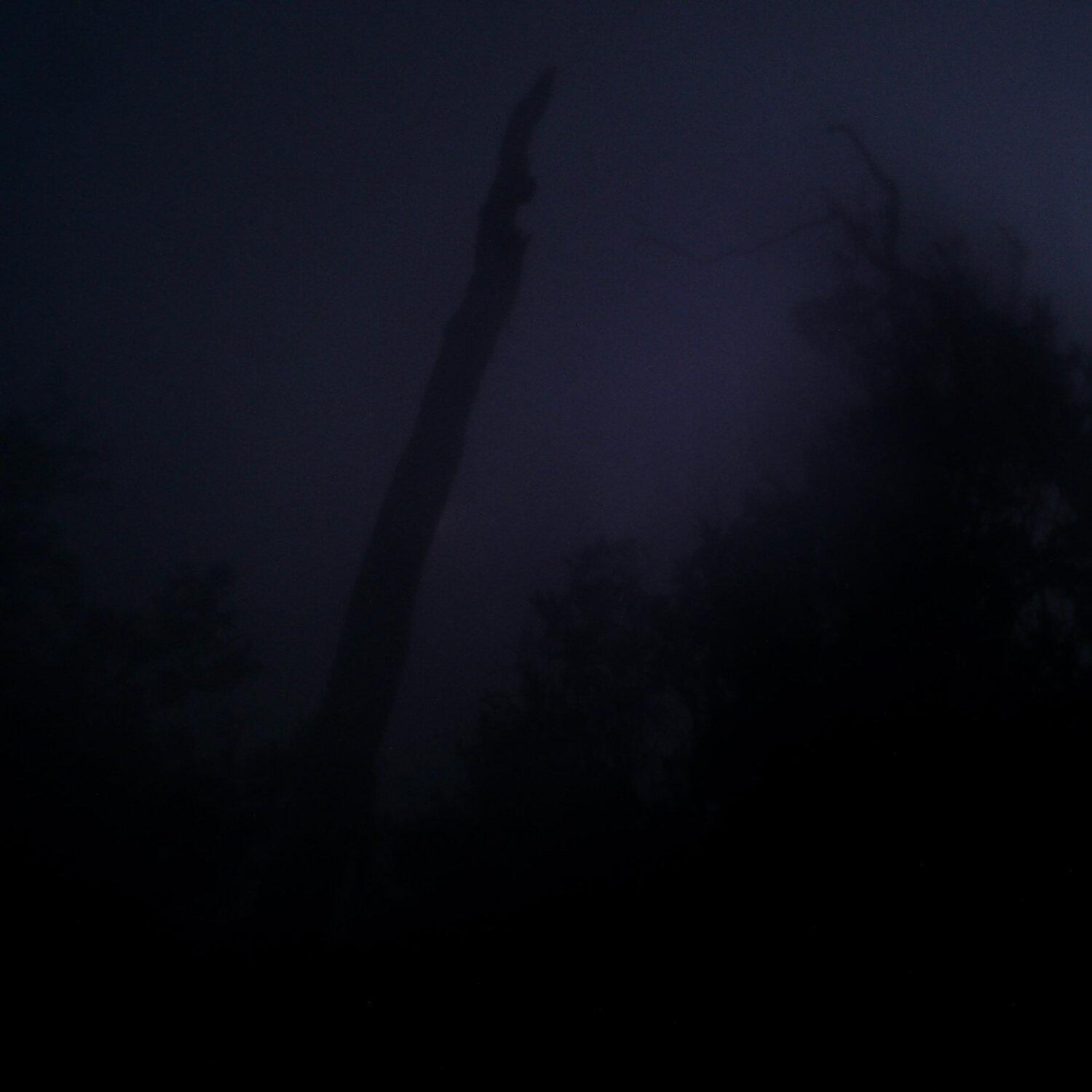 A photo captured from the webcam at the time the audio was recorded