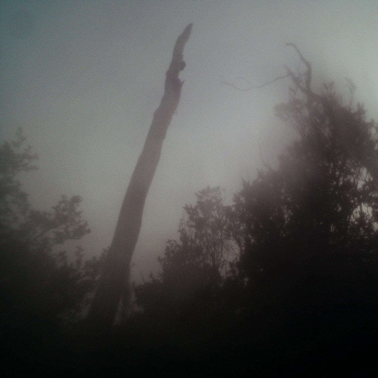 A photo captured from the webcam at the time the audio was recorded