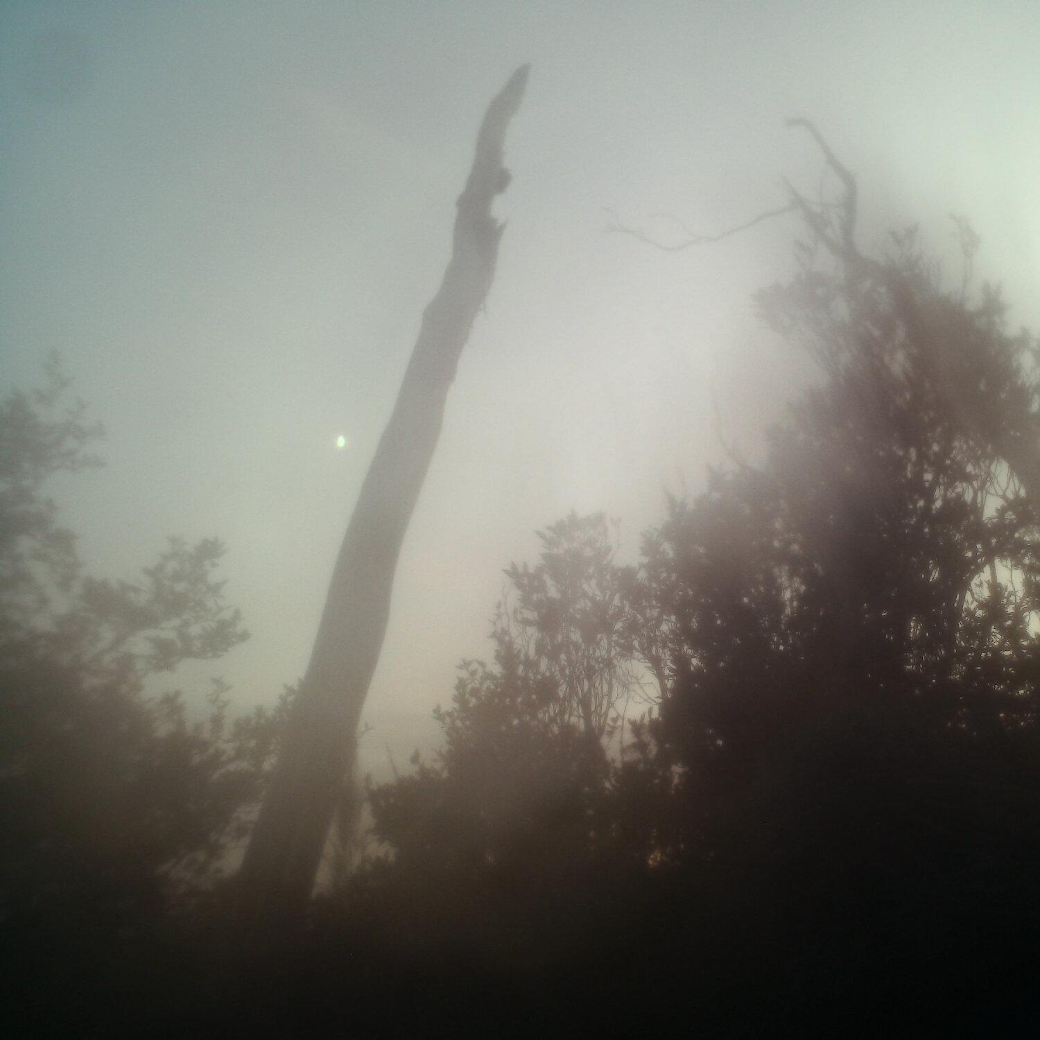 A photo captured from the webcam at the time the audio was recorded