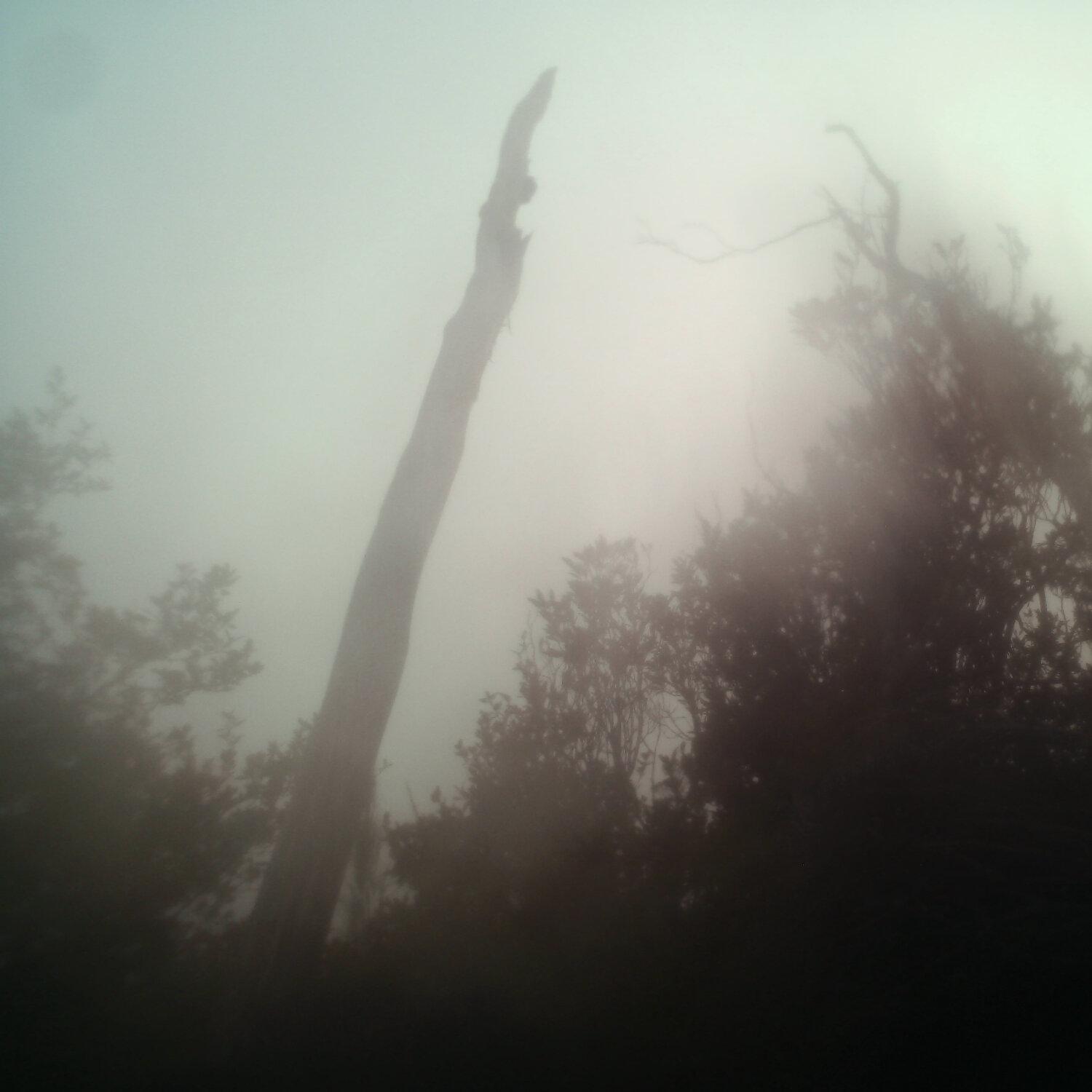 A photo captured from the webcam at the time the audio was recorded
