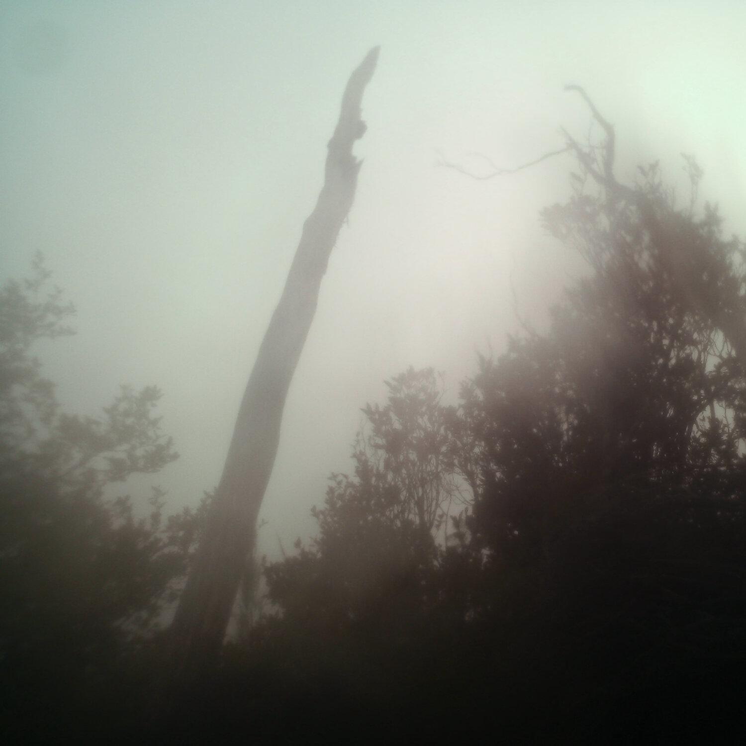 A photo captured from the webcam at the time the audio was recorded