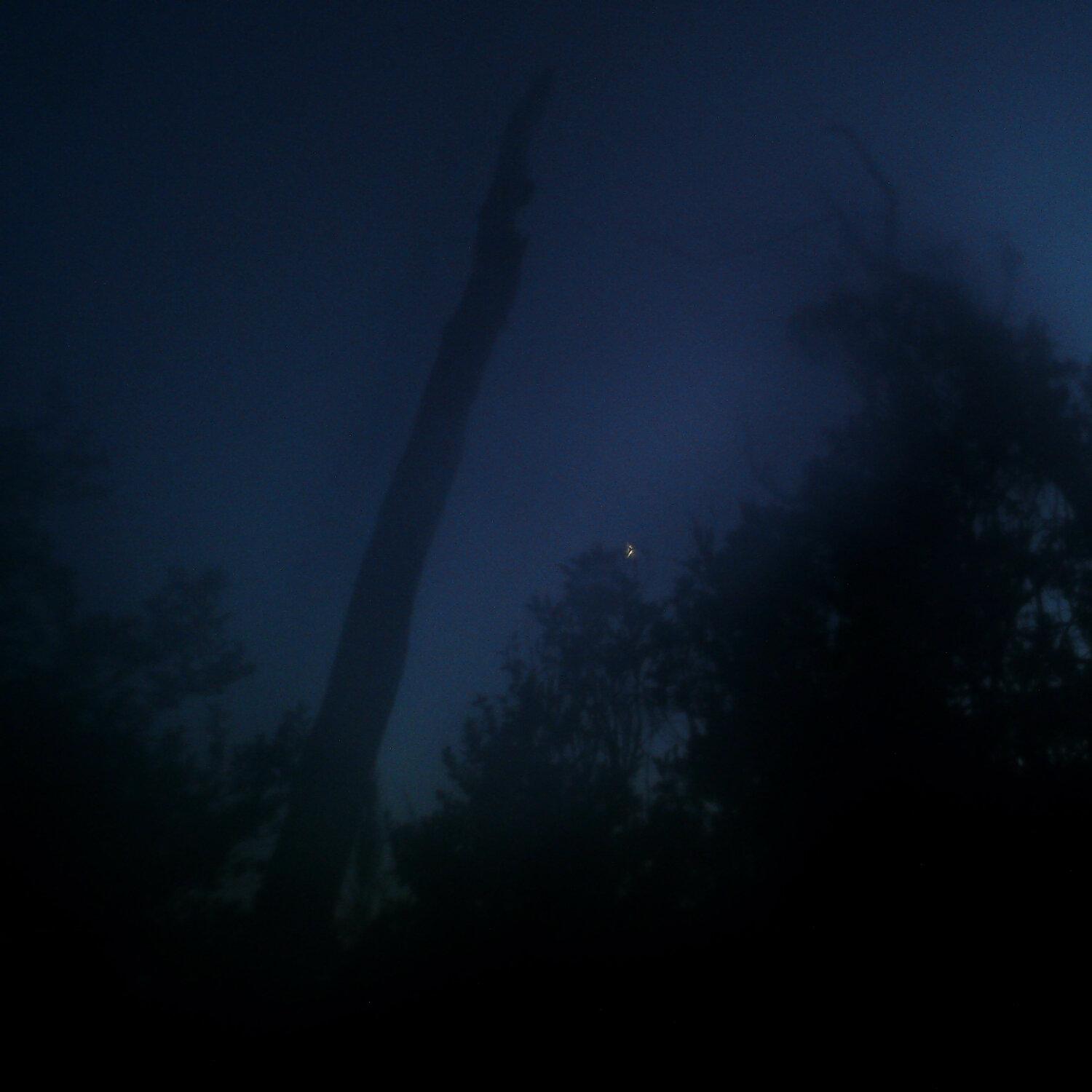 A photo captured from the webcam at the time the audio was recorded