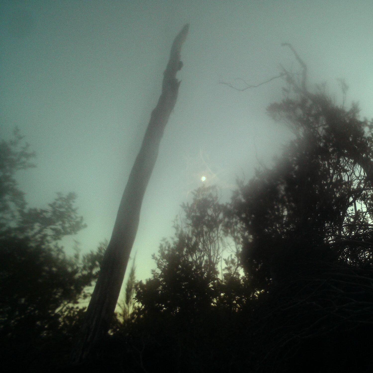 A photo captured from the webcam at the time the audio was recorded