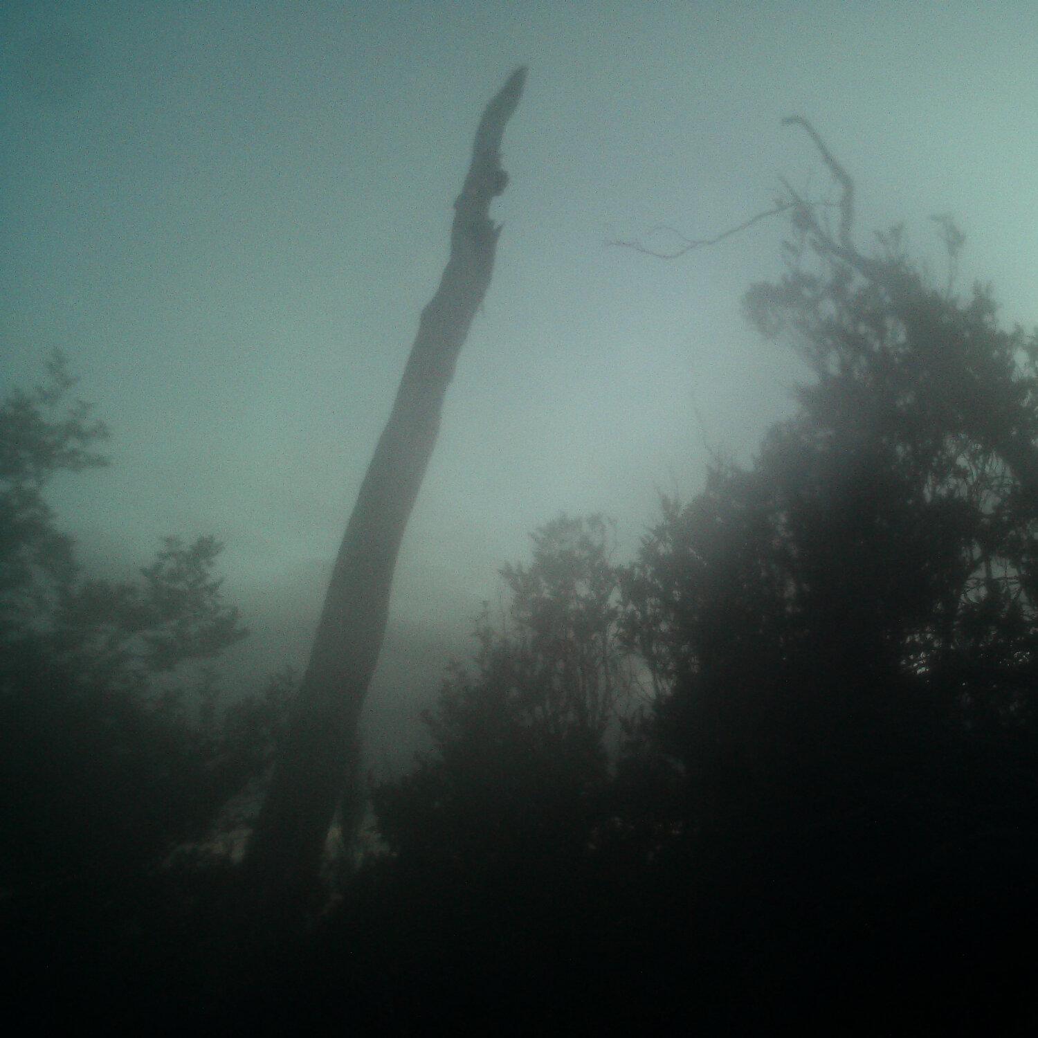 A photo captured from the webcam at the time the audio was recorded