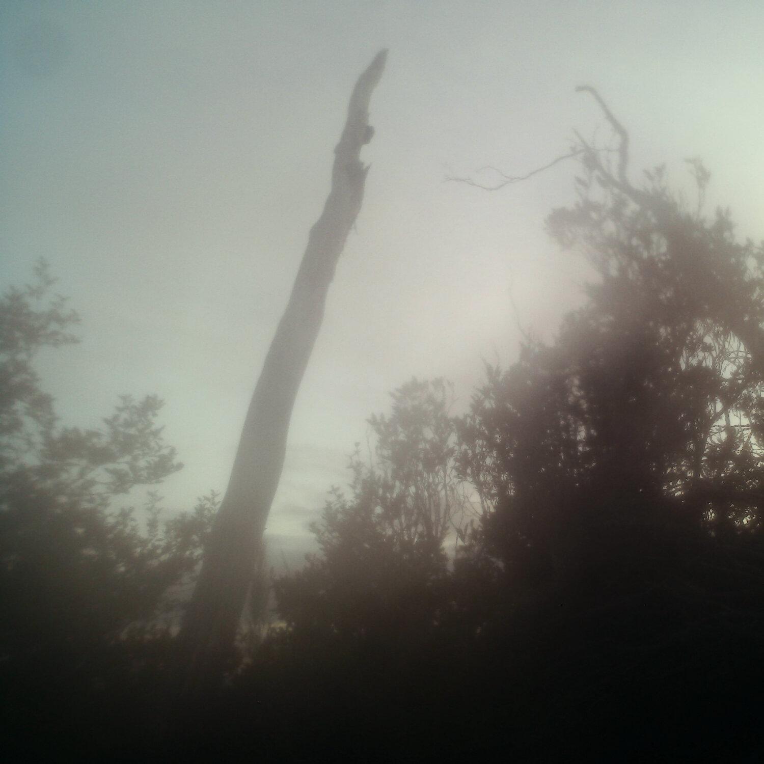 A photo captured from the webcam at the time the audio was recorded