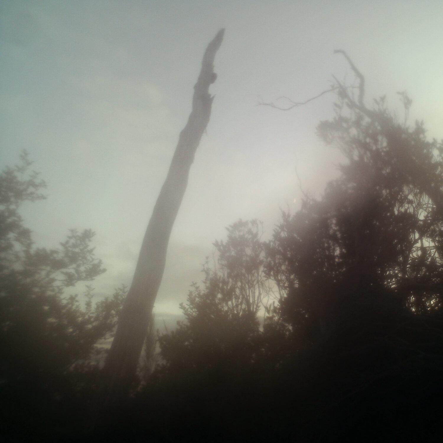 A photo captured from the webcam at the time the audio was recorded
