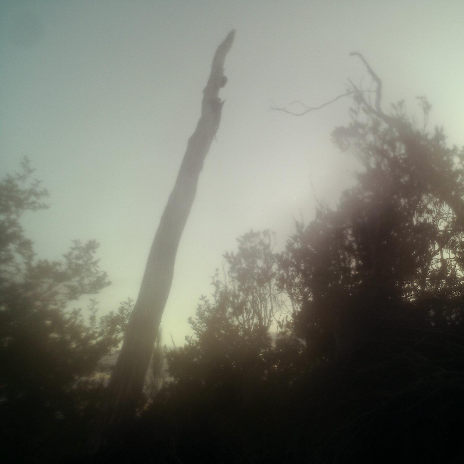 A photo captured from the webcam at the time the audio was recorded