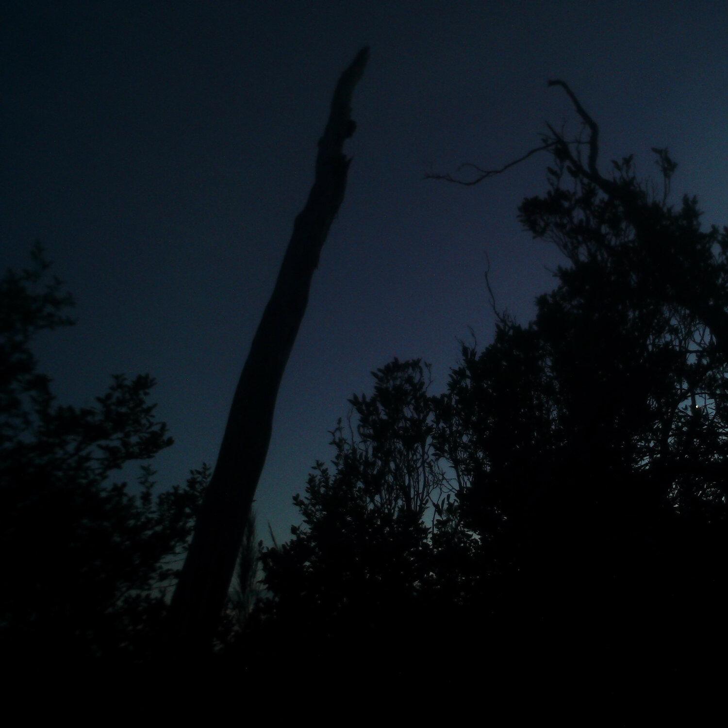 A photo captured from the webcam at the time the audio was recorded