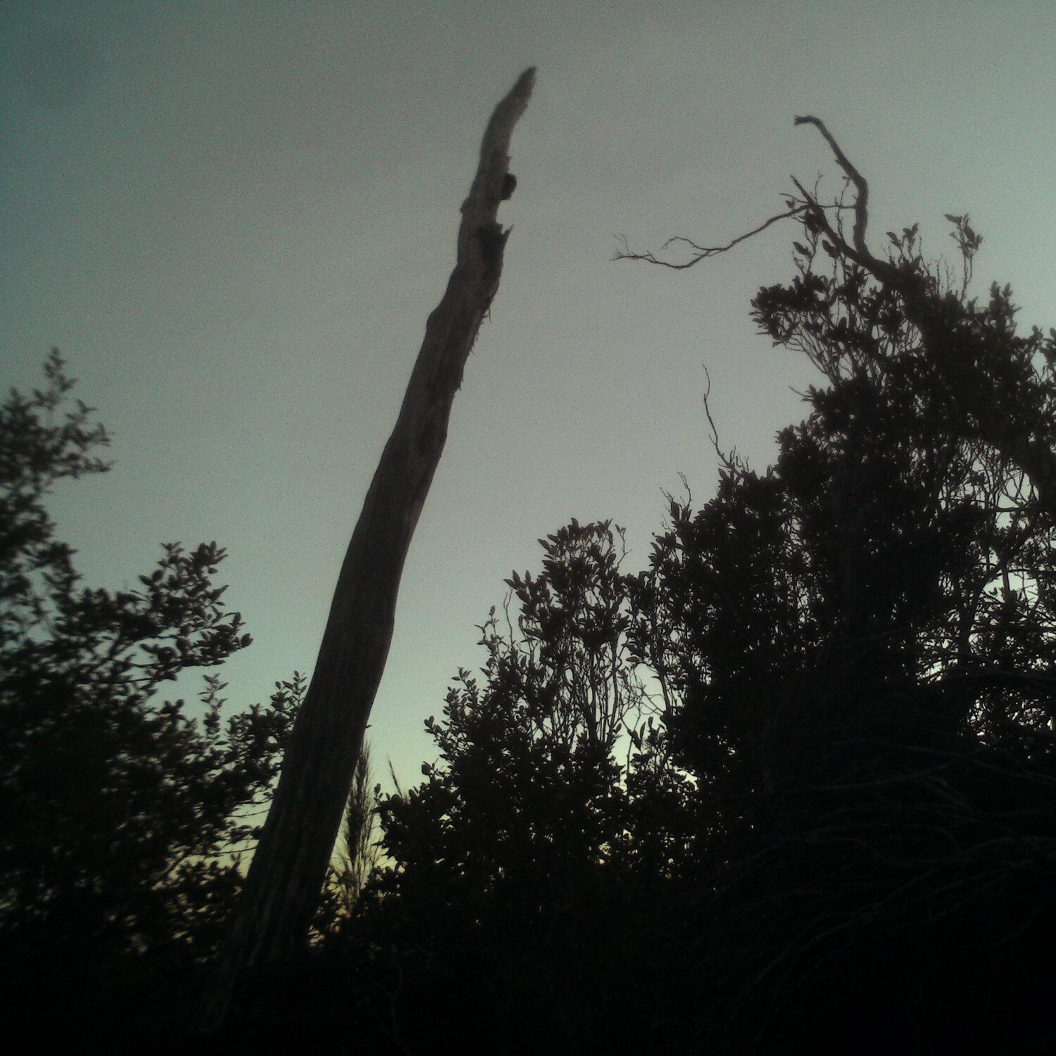 A photo captured from the webcam at the time the audio was recorded