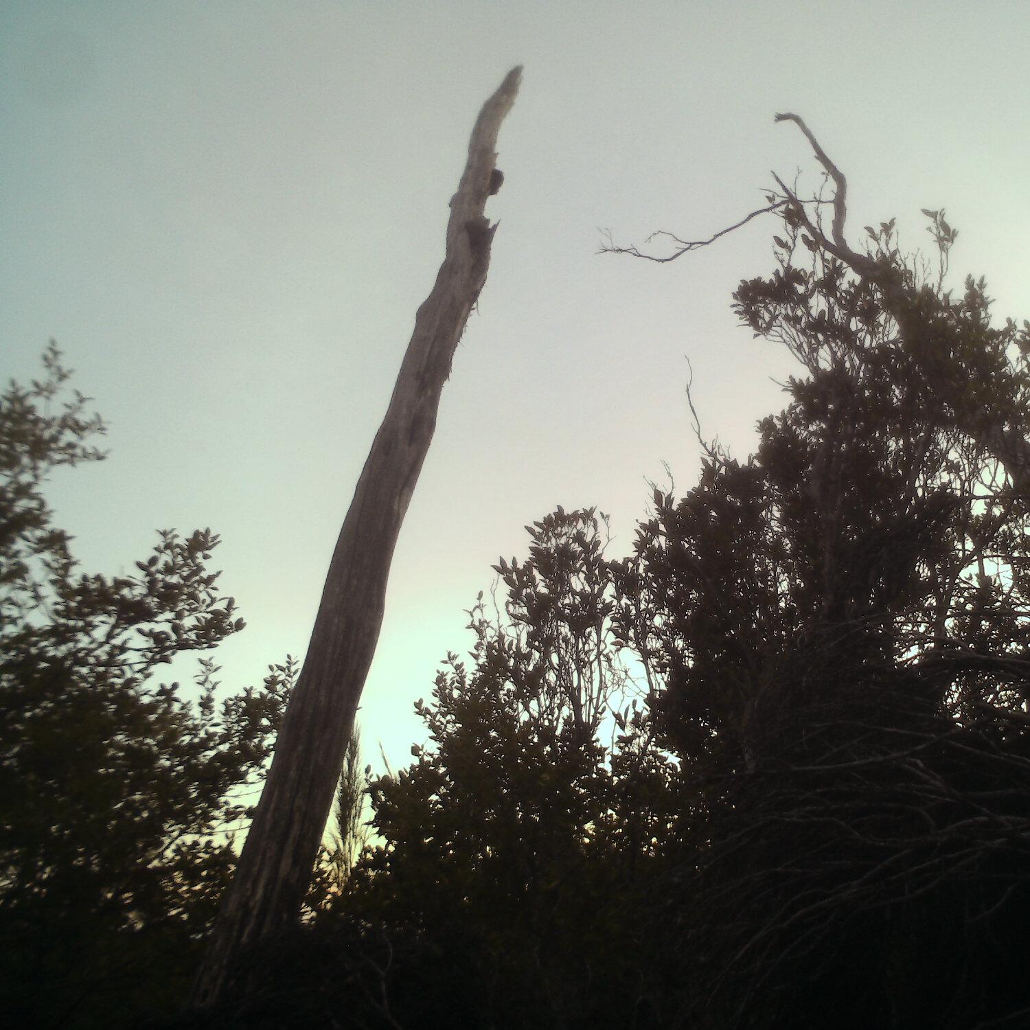 A photo captured from the webcam at the time the audio was recorded