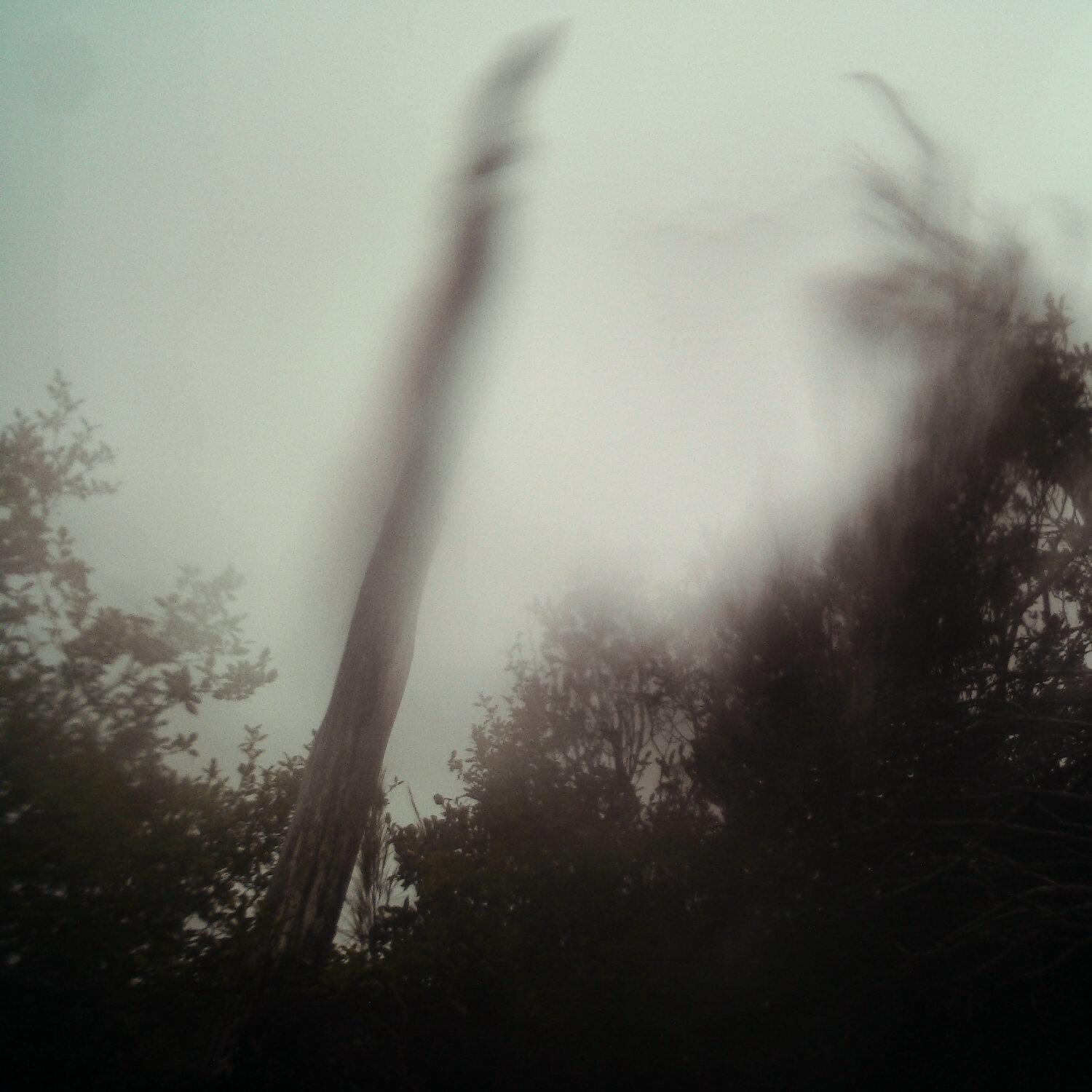 A photo captured from the webcam at the time the audio was recorded