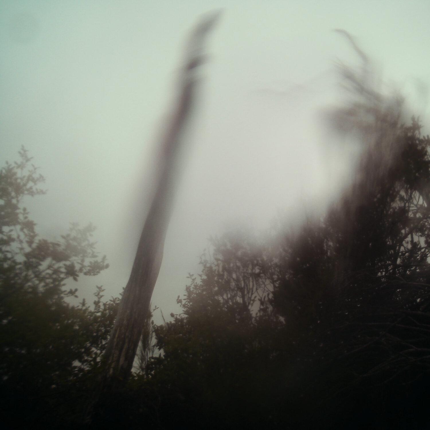 A photo captured from the webcam at the time the audio was recorded