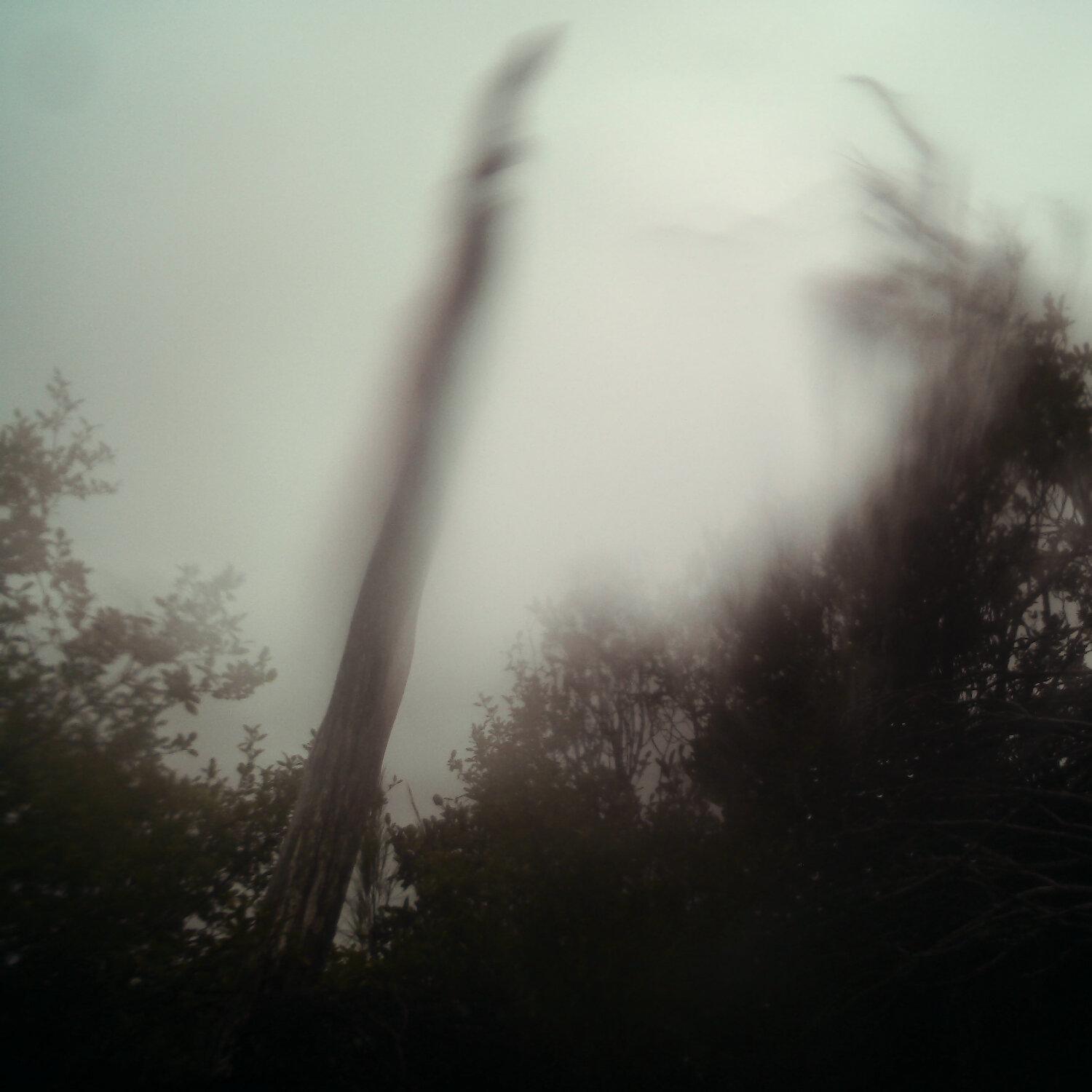 A photo captured from the webcam at the time the audio was recorded