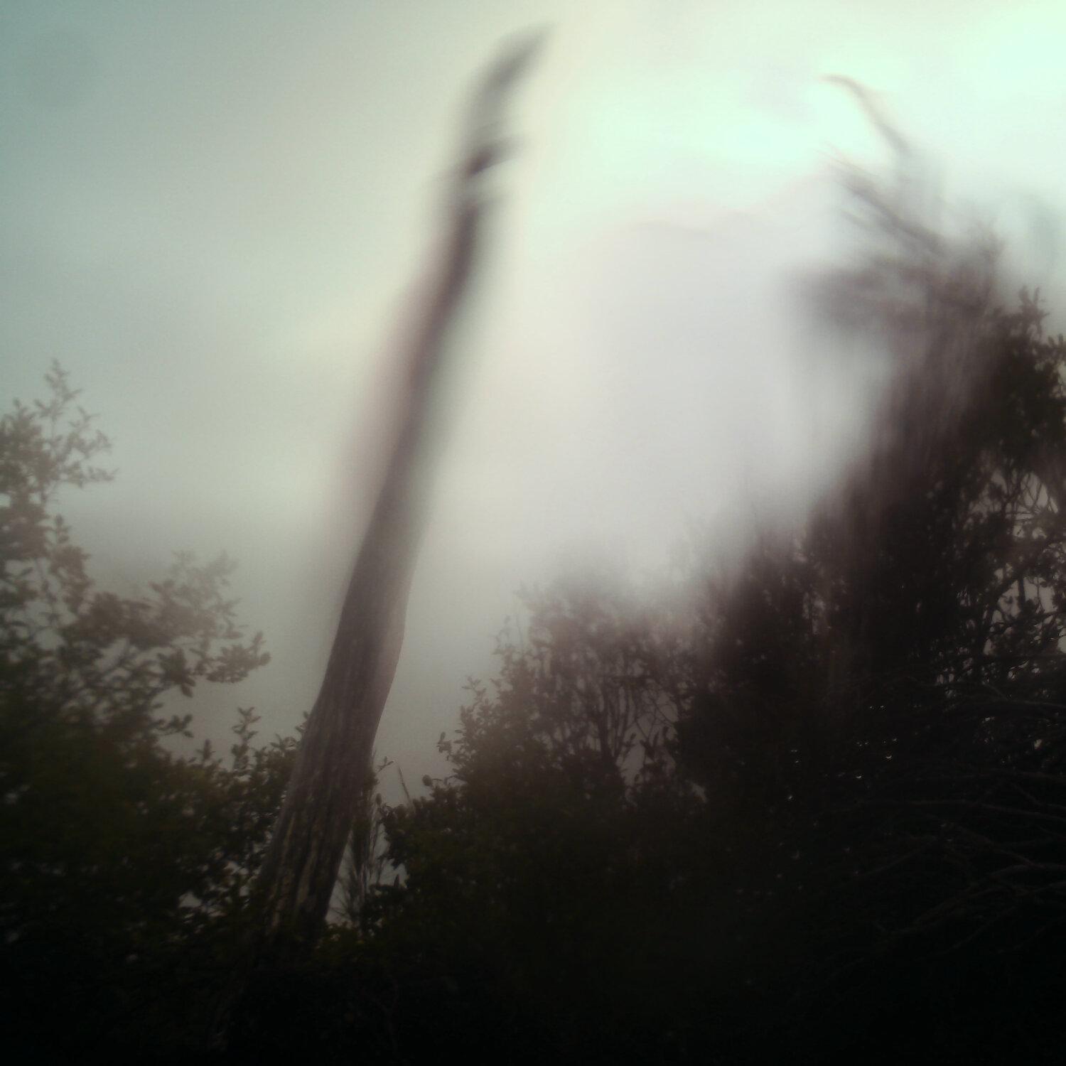 A photo captured from the webcam at the time the audio was recorded