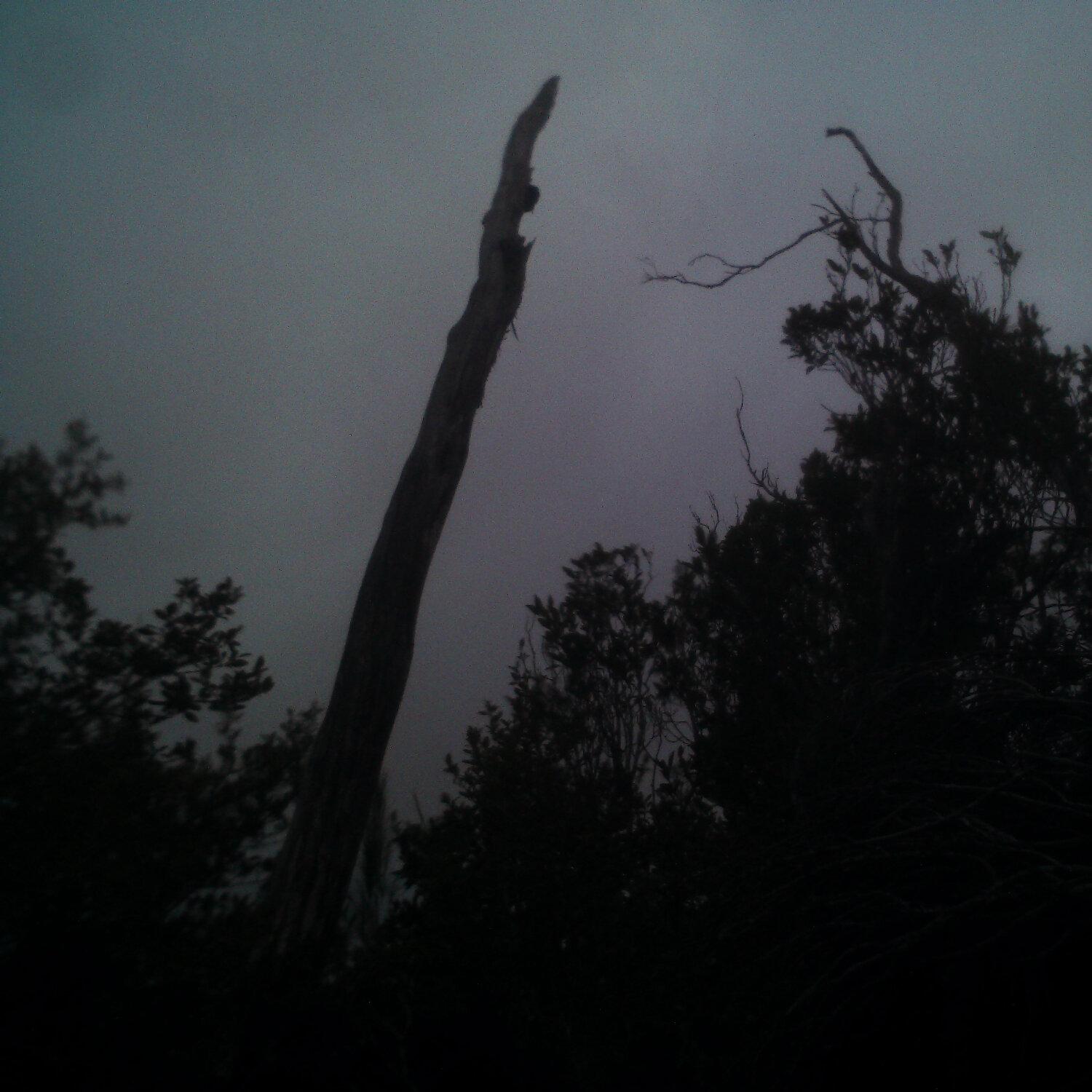 A photo captured from the webcam at the time the audio was recorded