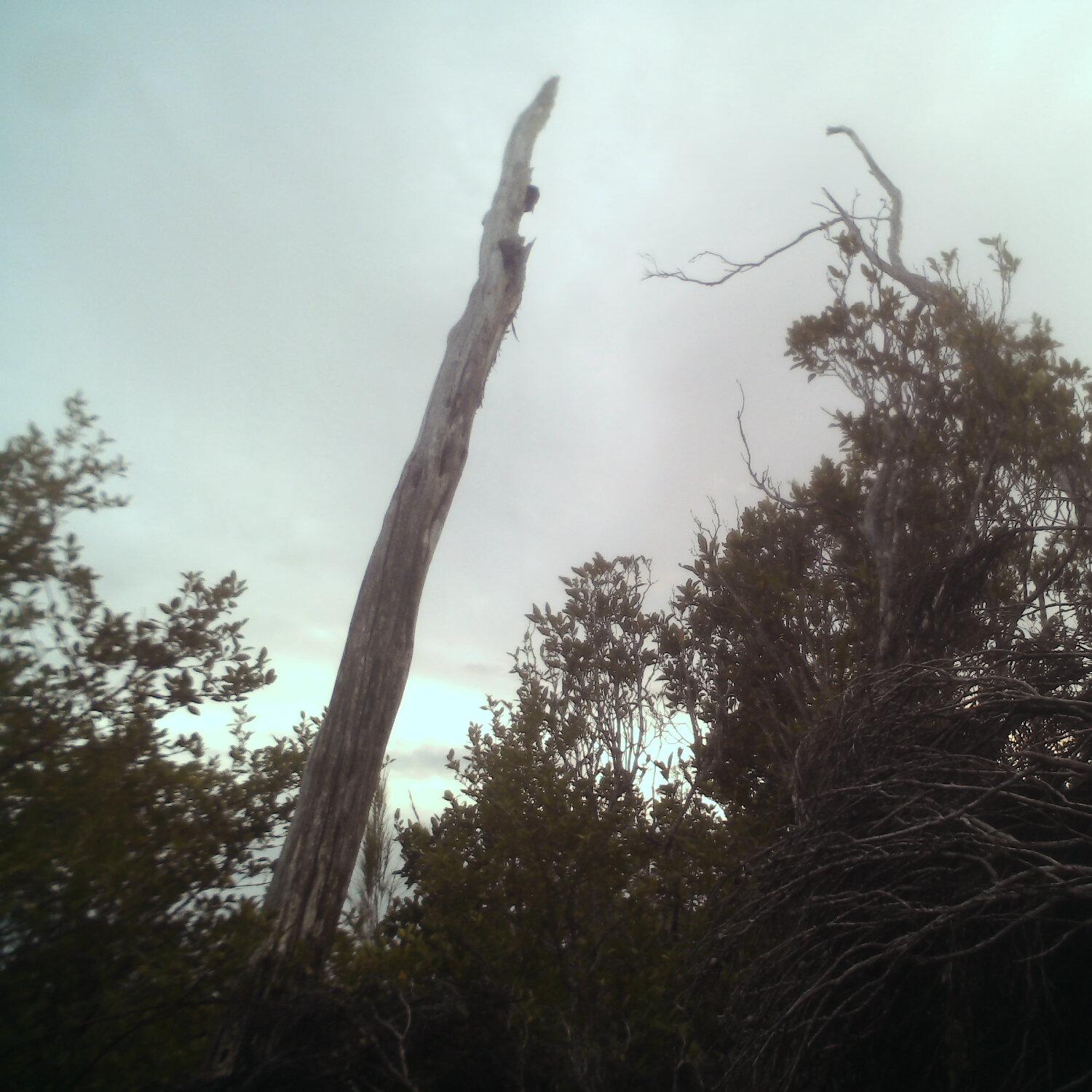 A photo captured from the webcam at the time the audio was recorded