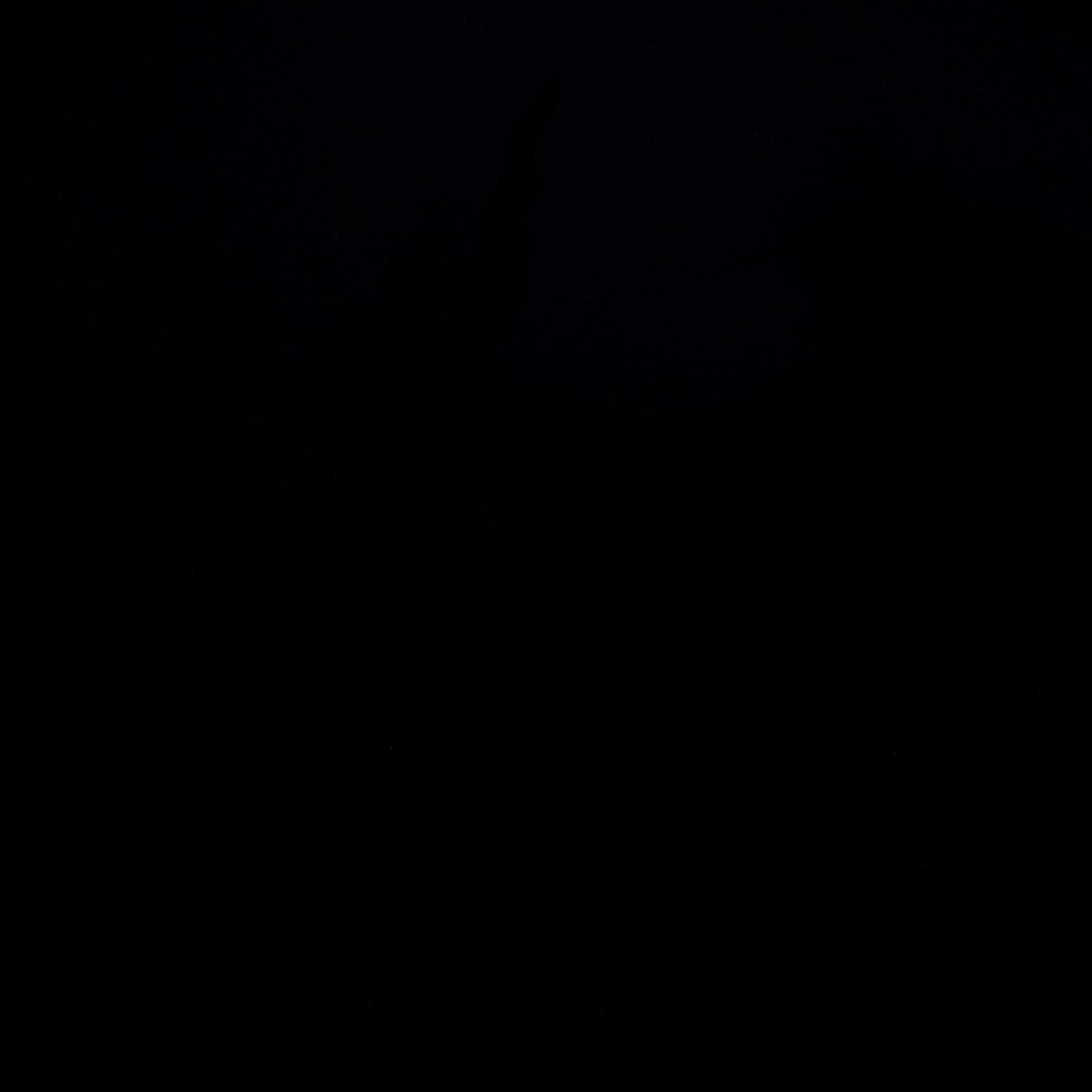 A photo captured from the webcam at the time the audio was recorded