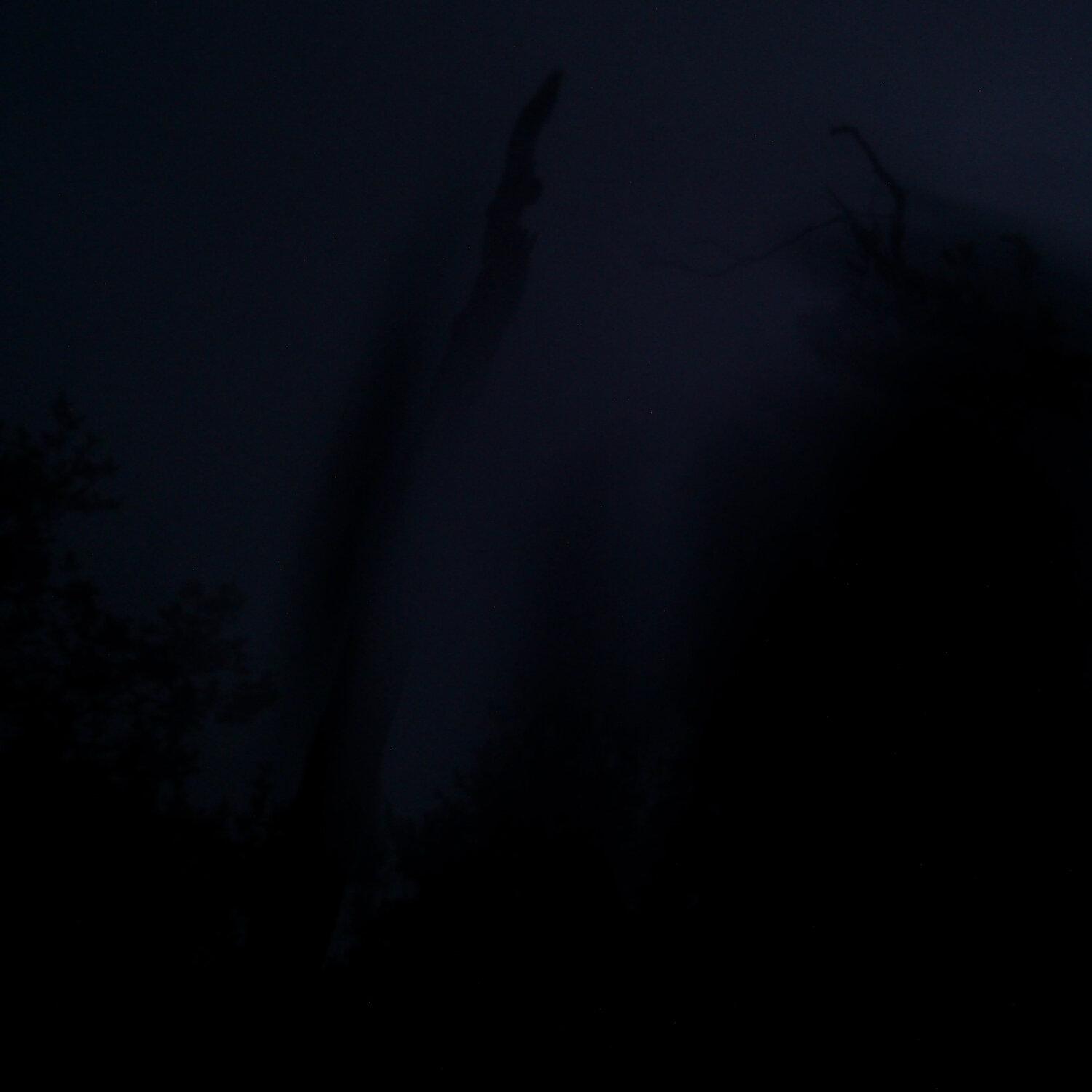 A photo captured from the webcam at the time the audio was recorded