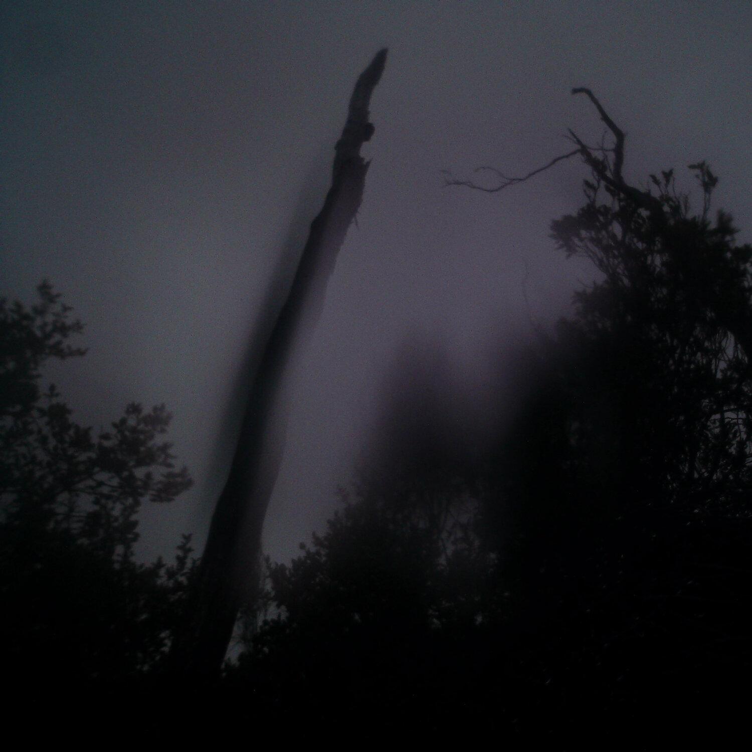 A photo captured from the webcam at the time the audio was recorded