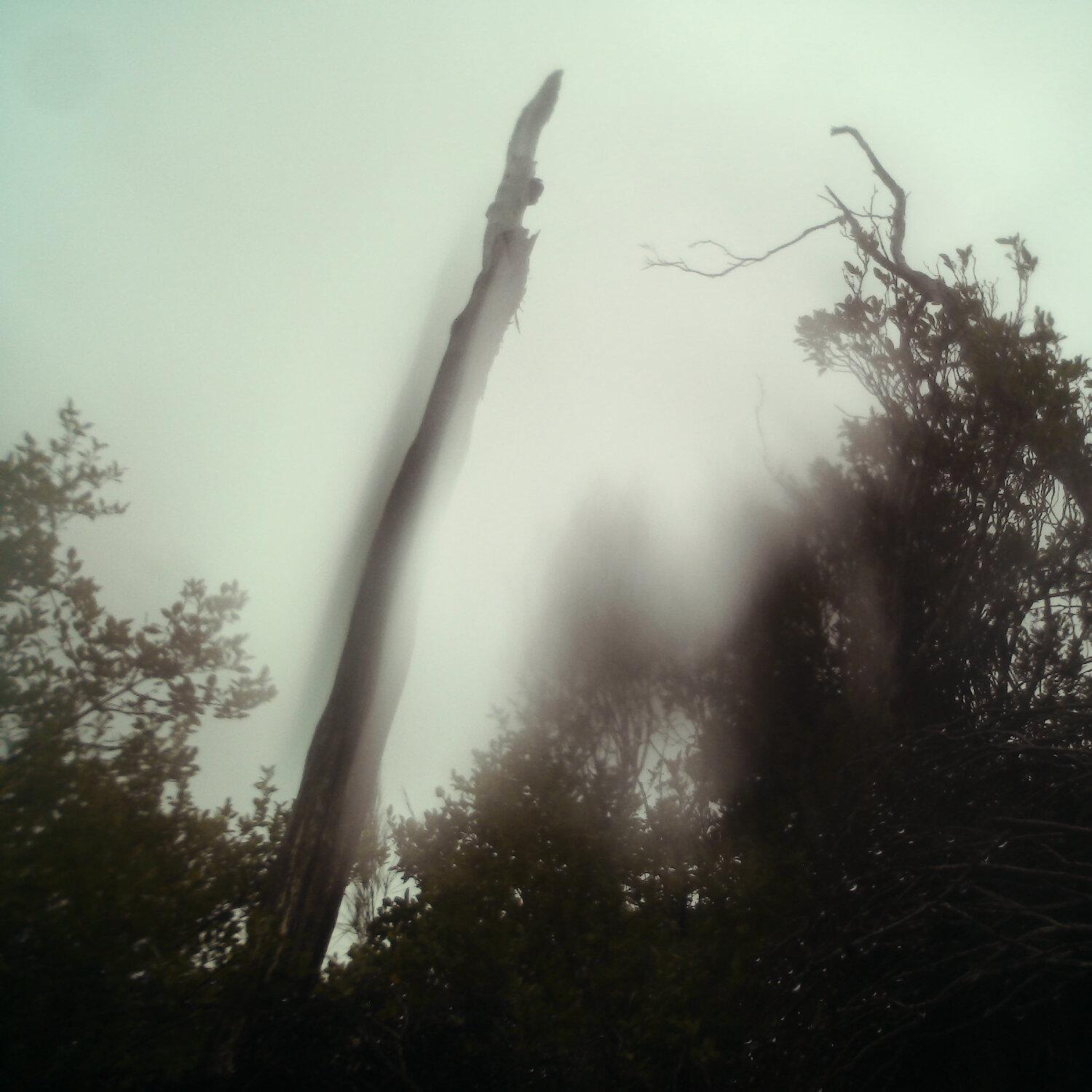 A photo captured from the webcam at the time the audio was recorded