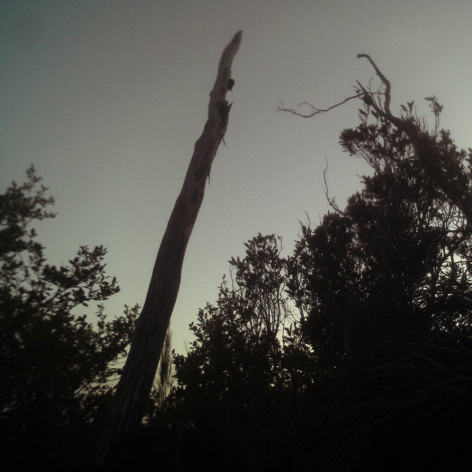 A photo captured from the webcam at the time the audio was recorded