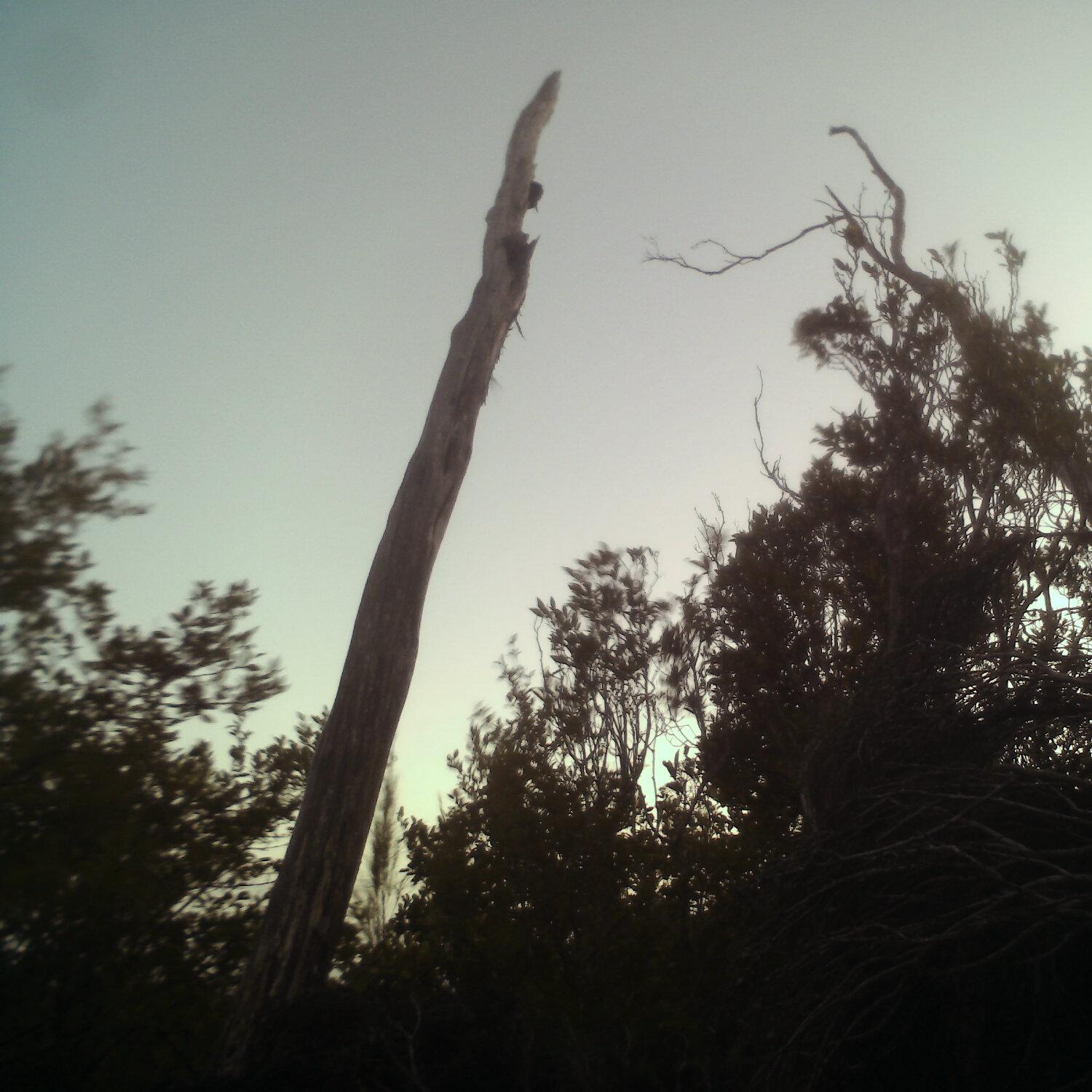 A photo captured from the webcam at the time the audio was recorded