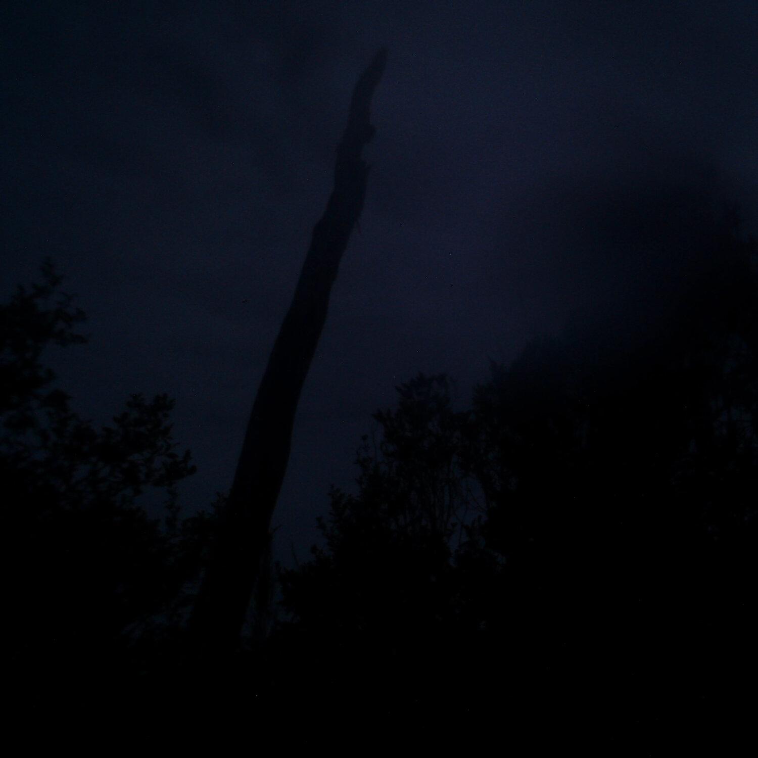 A photo captured from the webcam at the time the audio was recorded