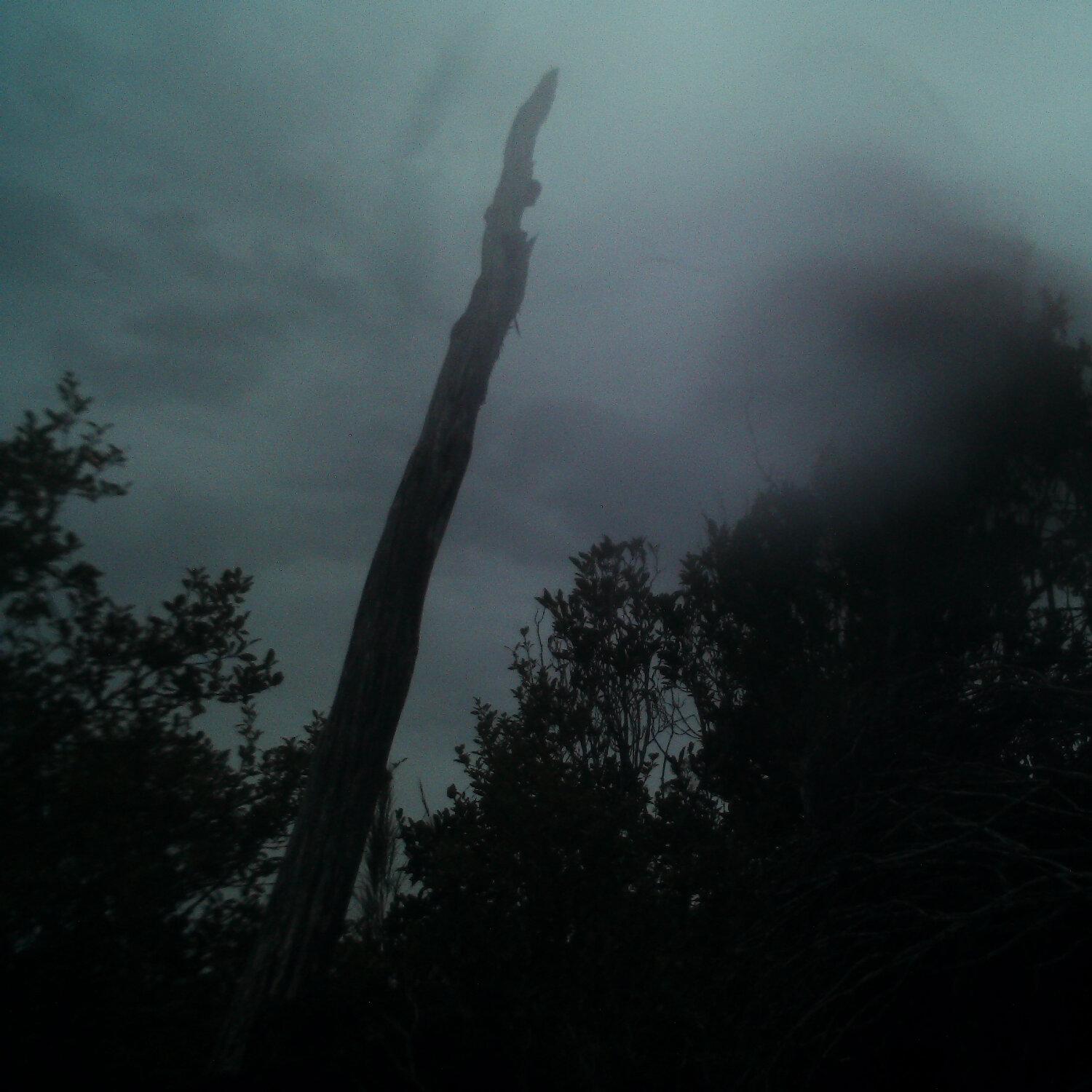 A photo captured from the webcam at the time the audio was recorded
