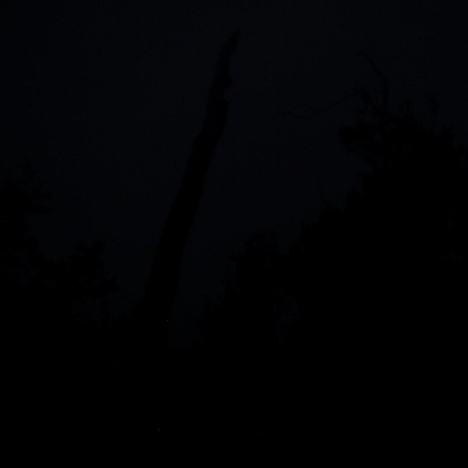 A photo captured from the webcam at the time the audio was recorded