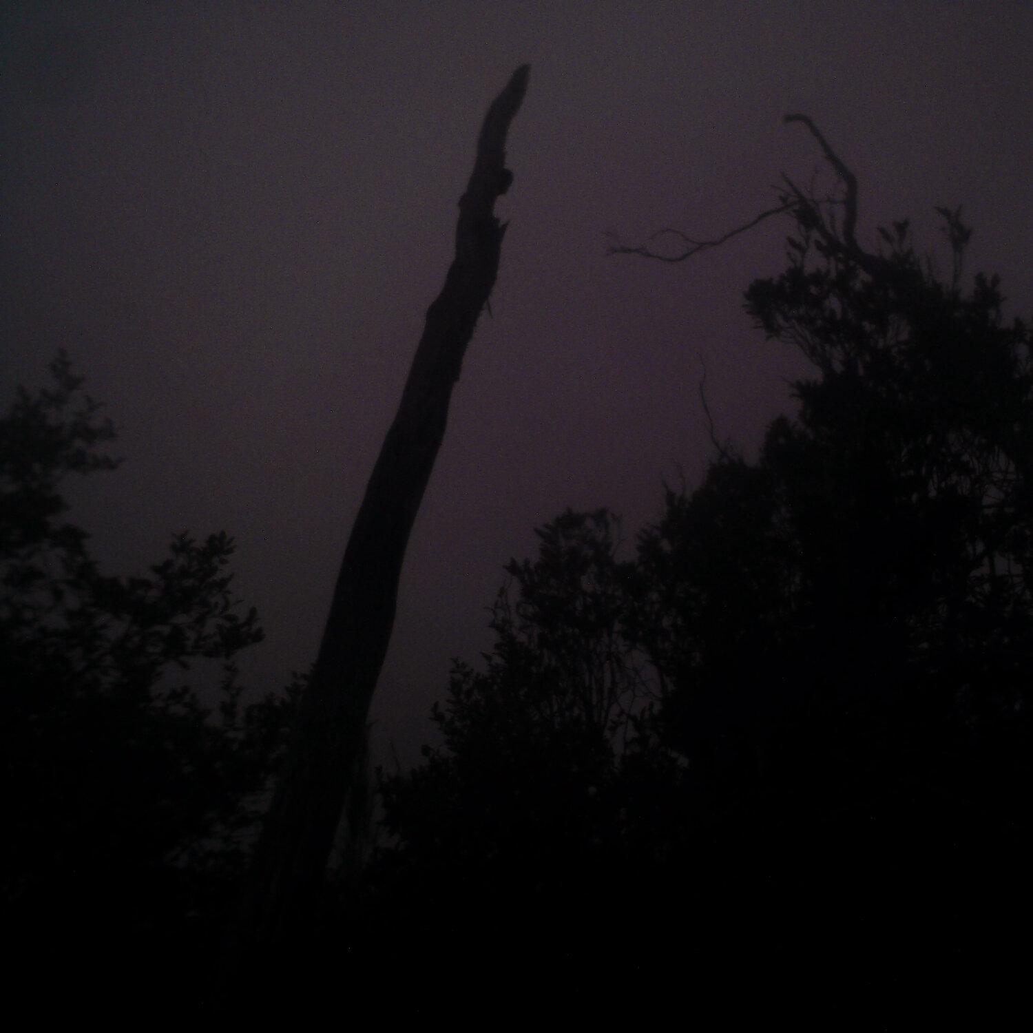 A photo captured from the webcam at the time the audio was recorded