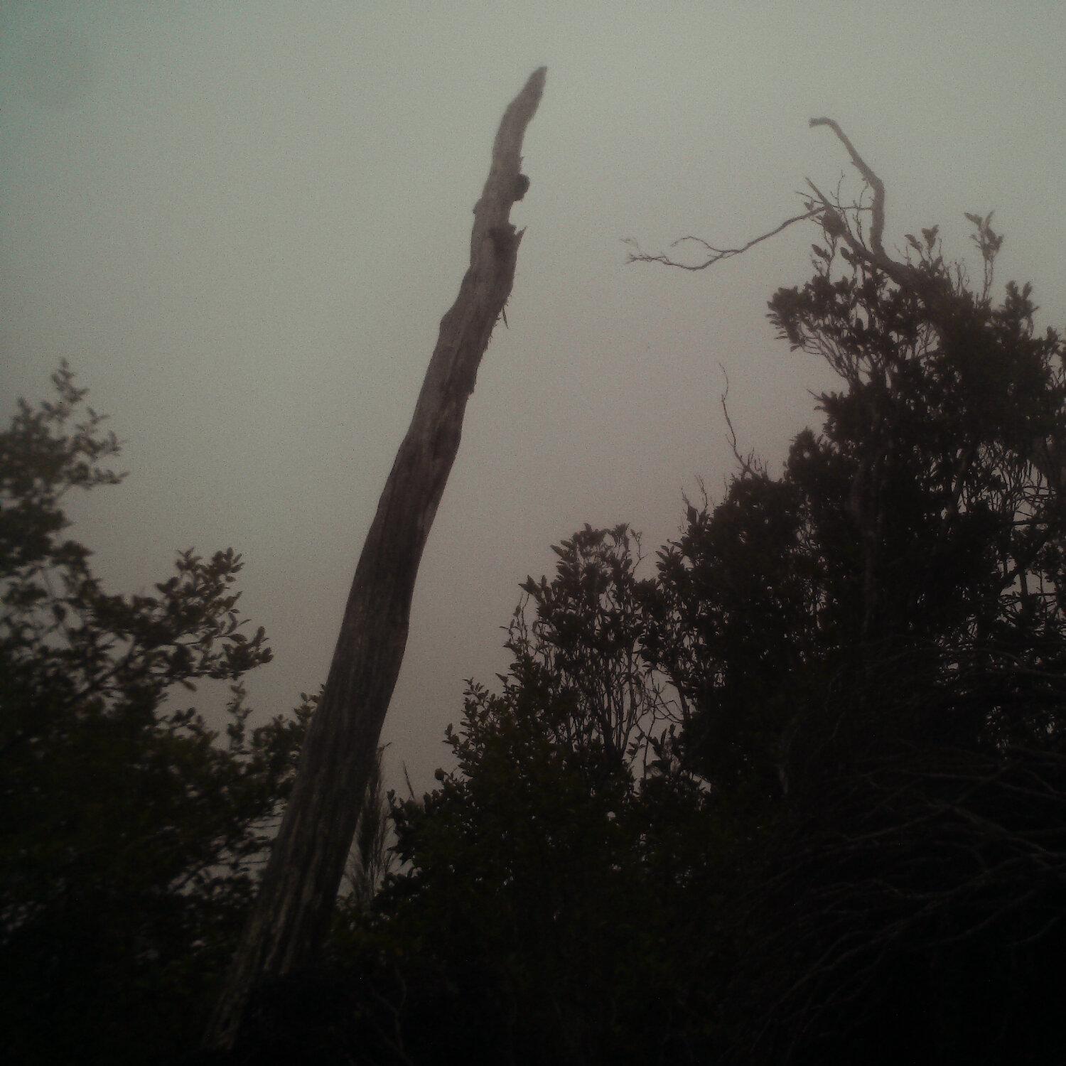 A photo captured from the webcam at the time the audio was recorded