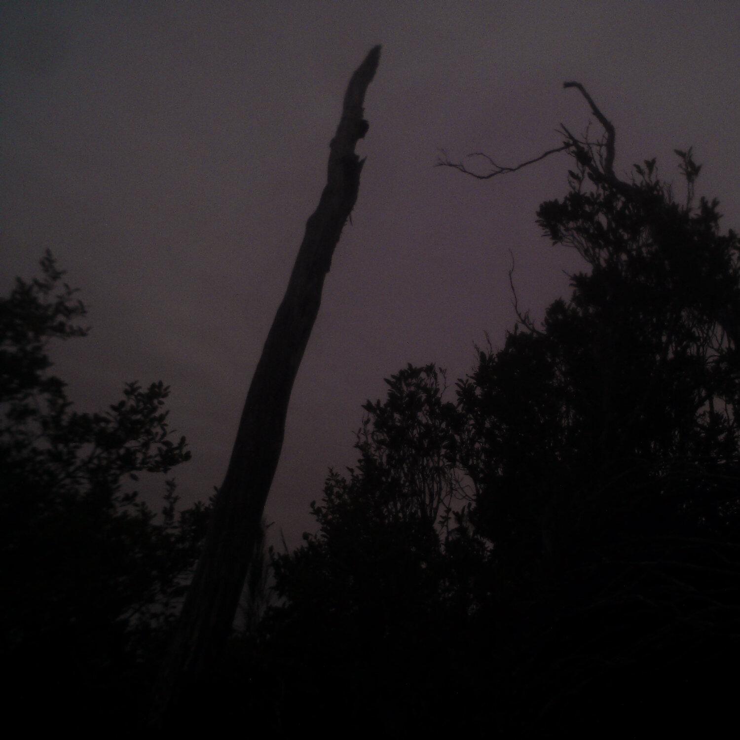 A photo captured from the webcam at the time the audio was recorded