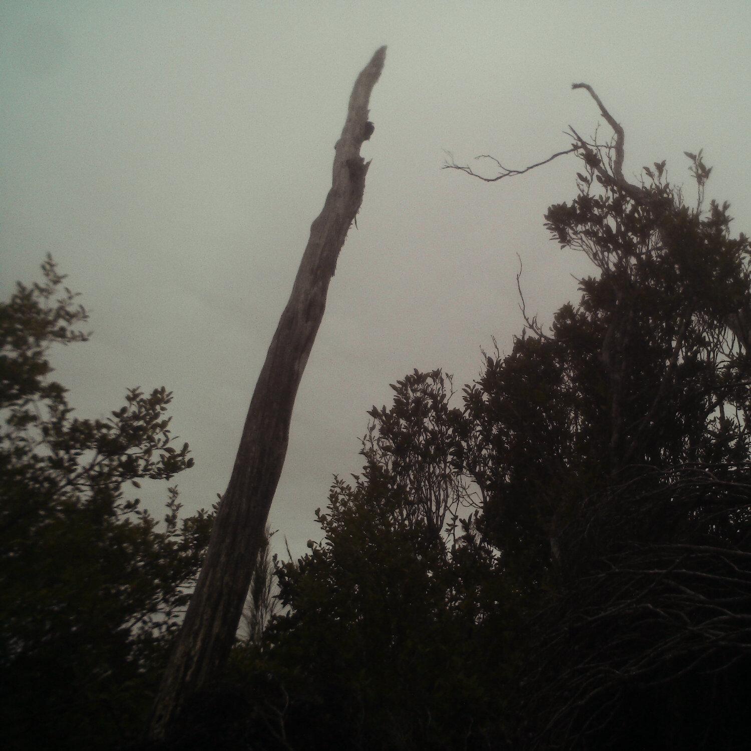 A photo captured from the webcam at the time the audio was recorded