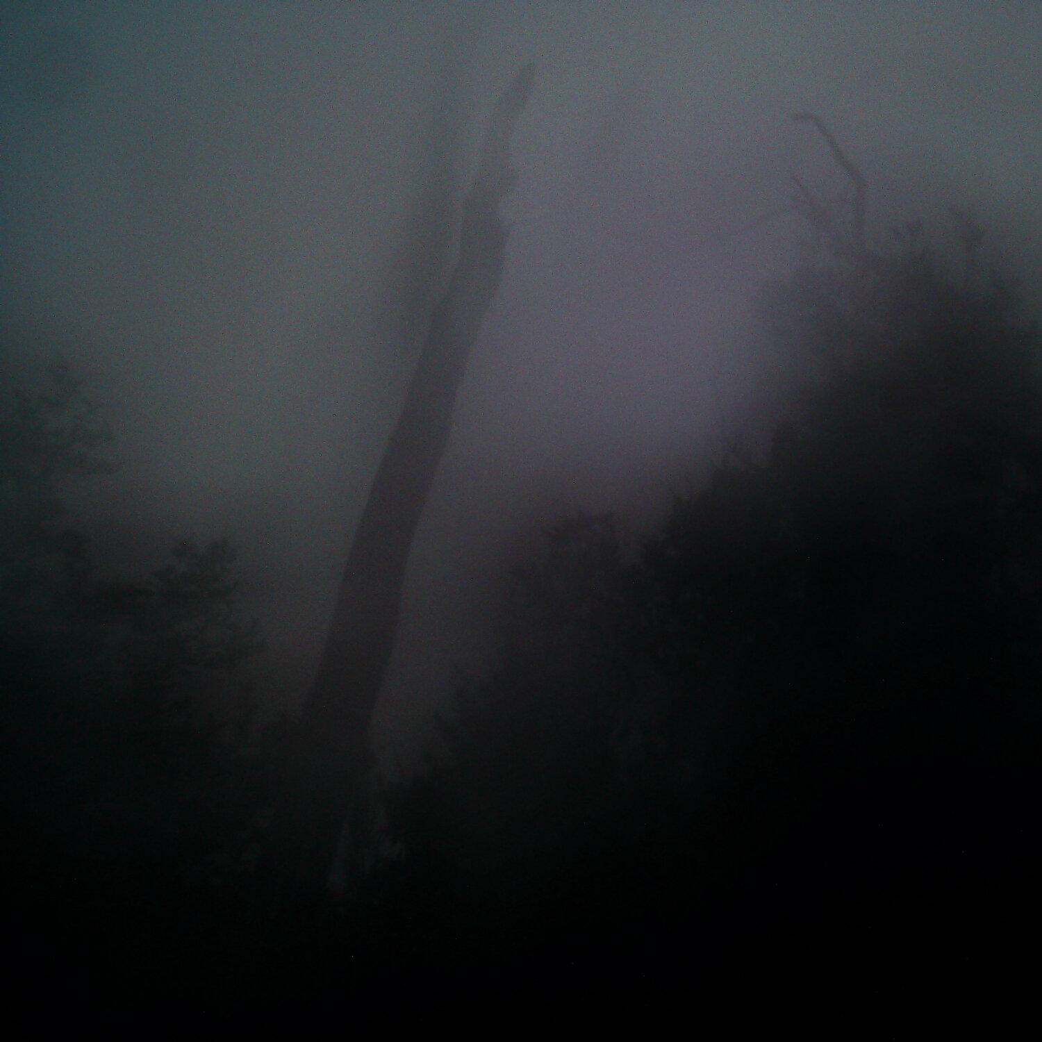 A photo captured from the webcam at the time the audio was recorded