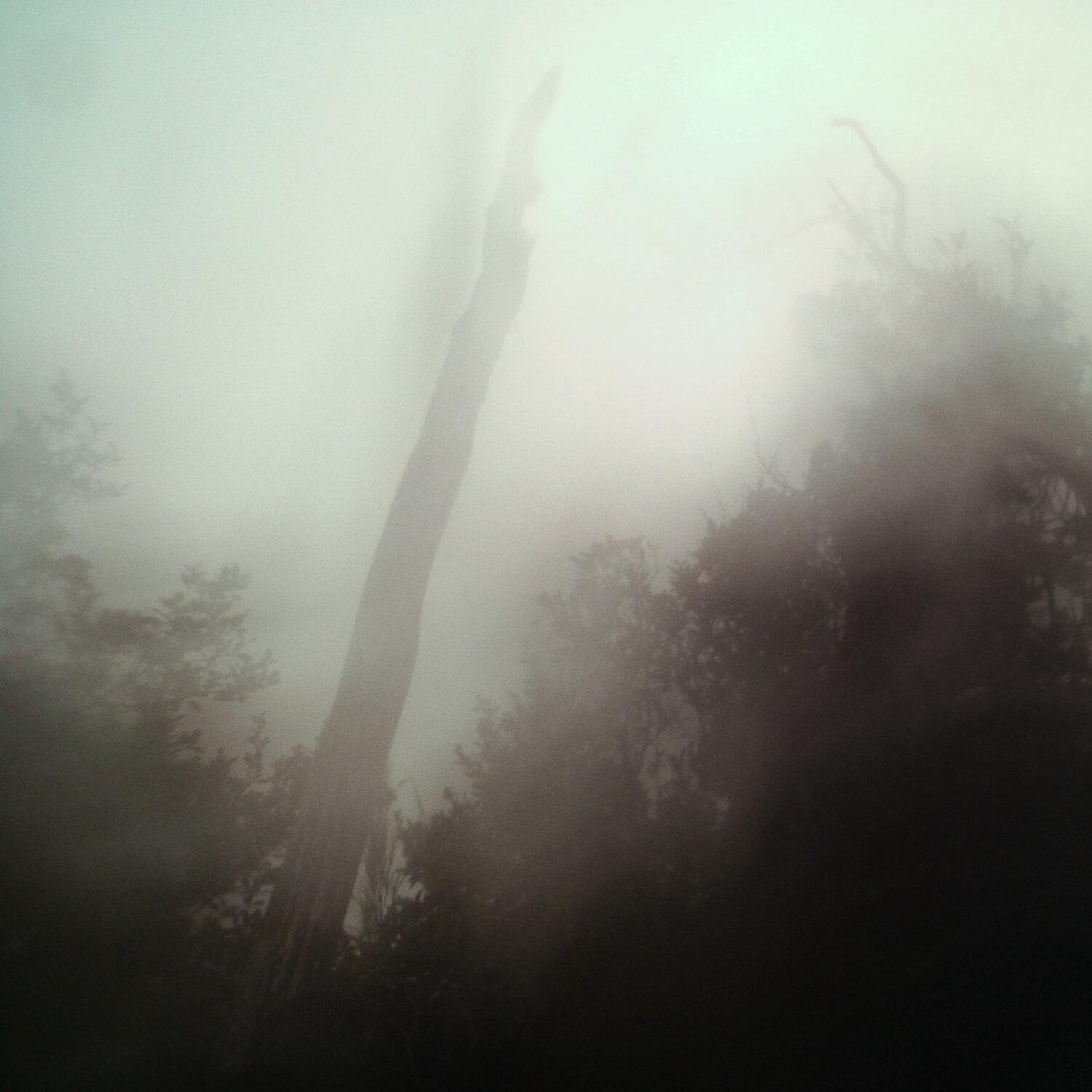 A photo captured from the webcam at the time the audio was recorded
