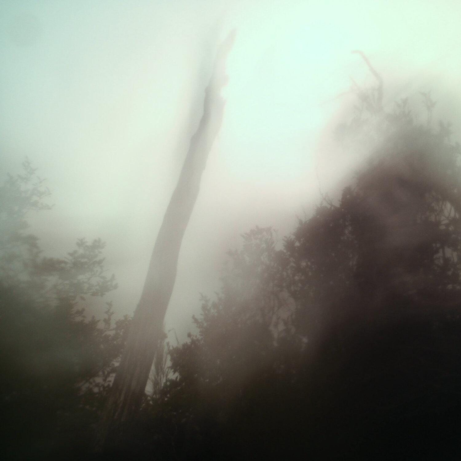 A photo captured from the webcam at the time the audio was recorded
