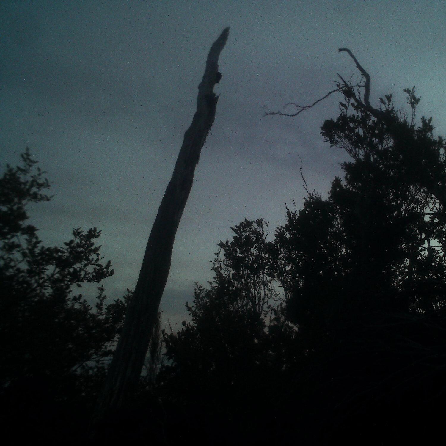 A photo captured from the webcam at the time the audio was recorded