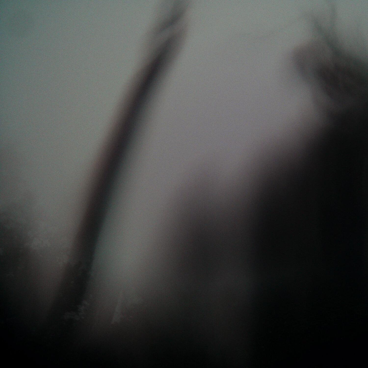 A photo captured from the webcam at the time the audio was recorded