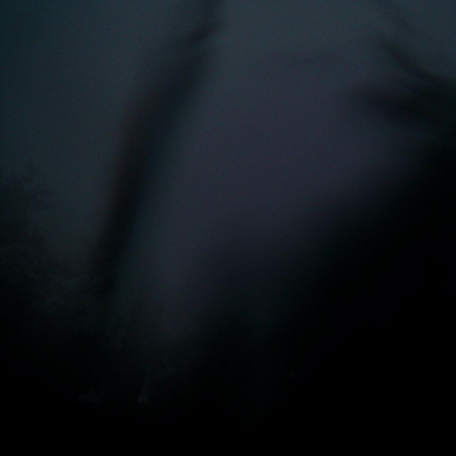 A photo captured from the webcam at the time the audio was recorded