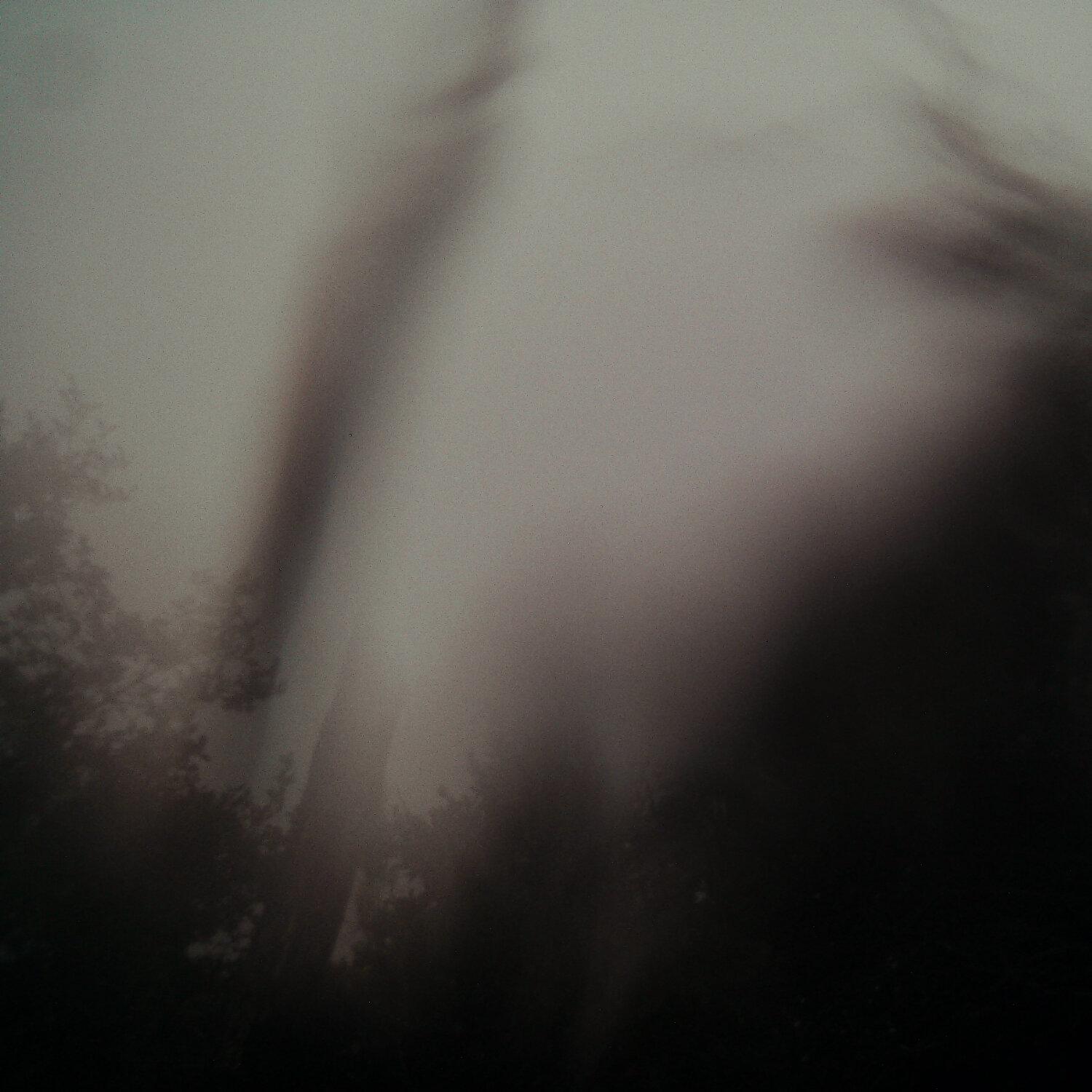 A photo captured from the webcam at the time the audio was recorded