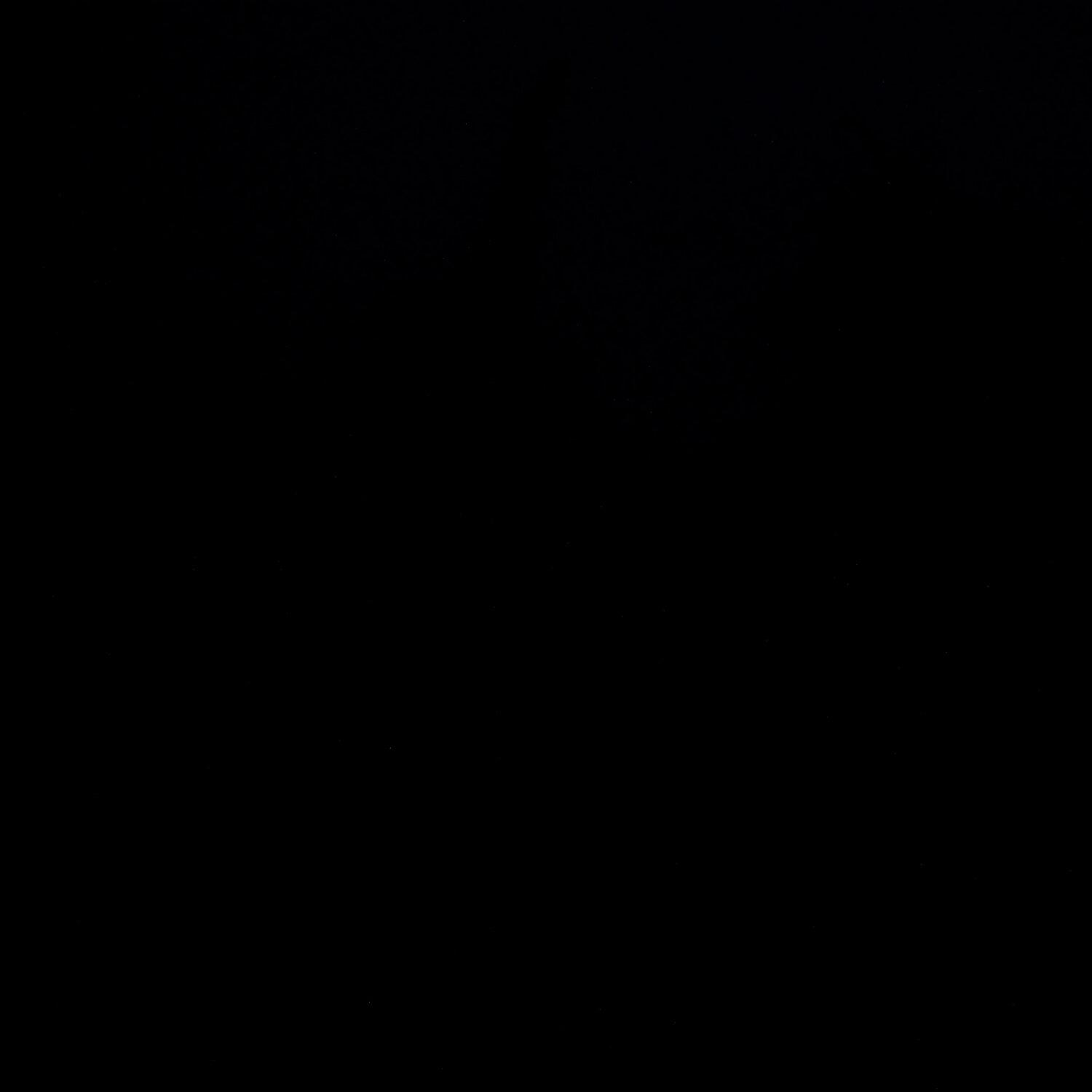 A photo captured from the webcam at the time the audio was recorded