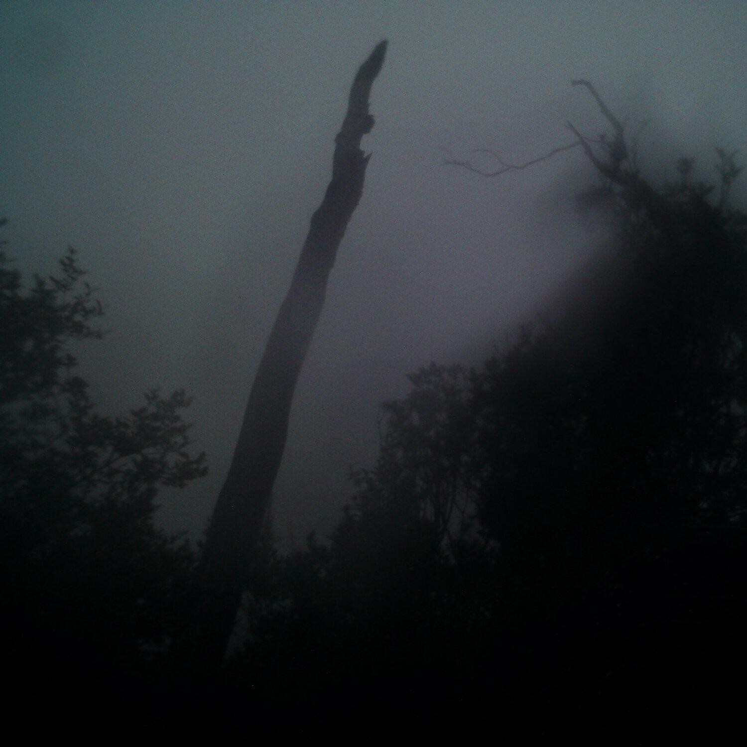 A photo captured from the webcam at the time the audio was recorded