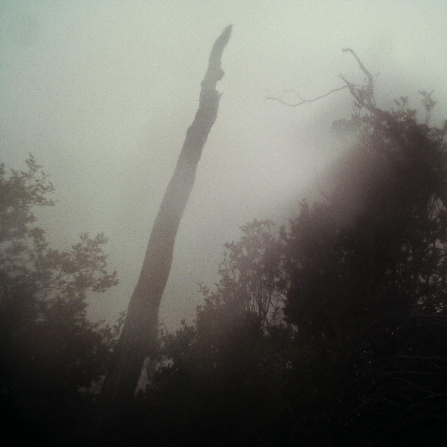 A photo captured from the webcam at the time the audio was recorded