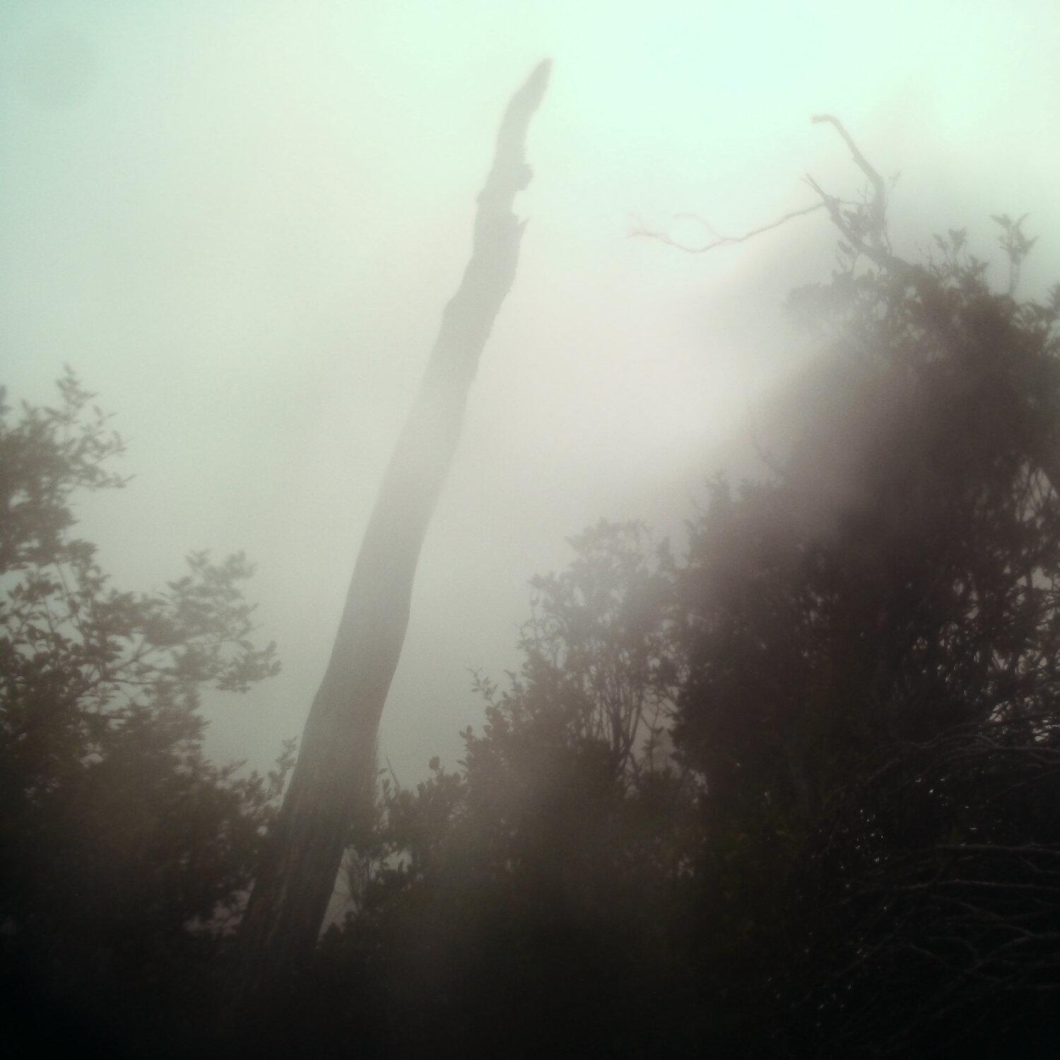 A photo captured from the webcam at the time the audio was recorded