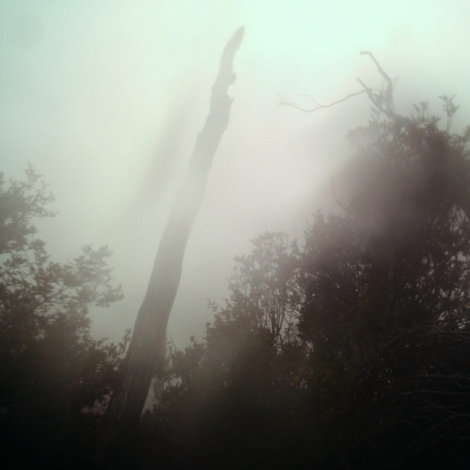 A photo captured from the webcam at the time the audio was recorded