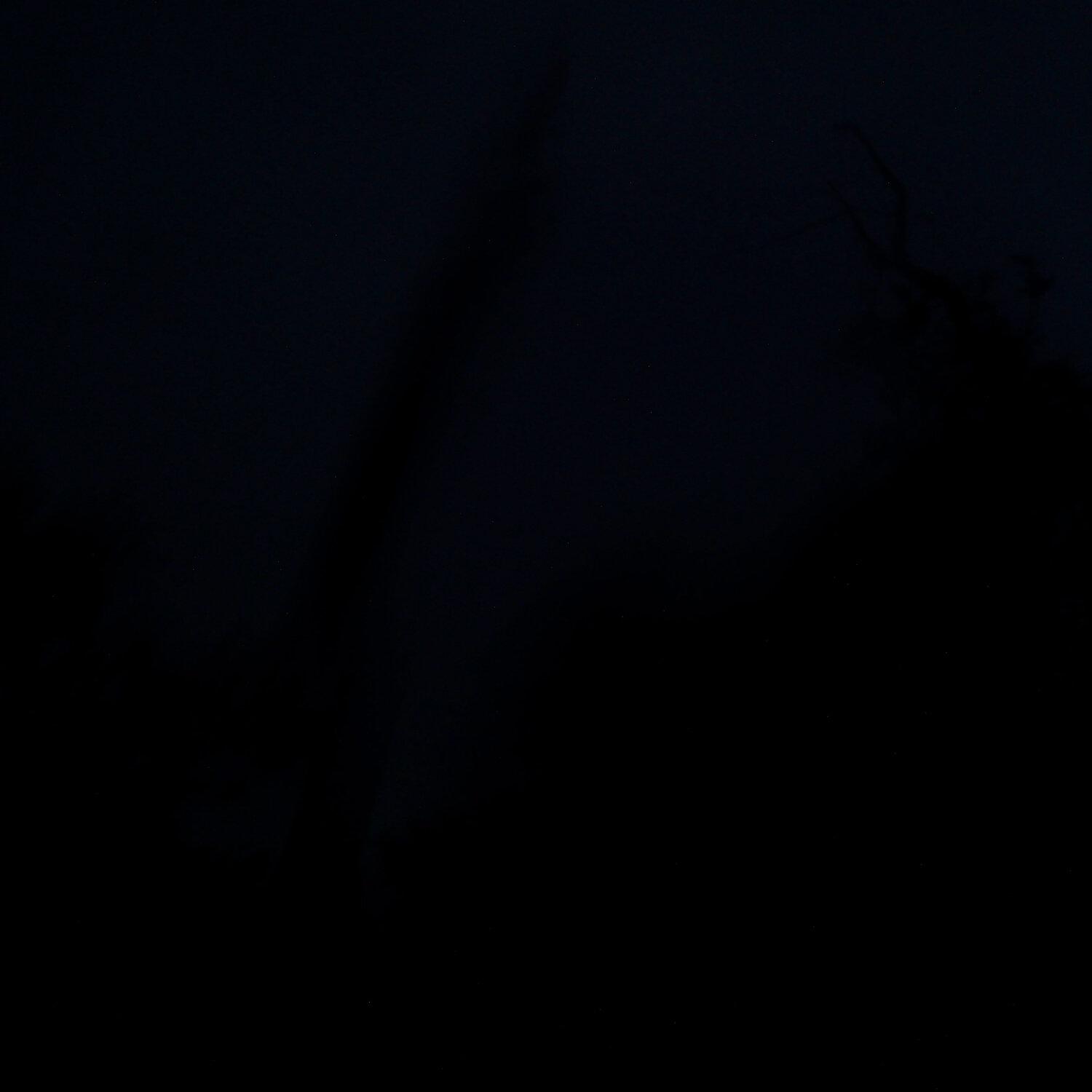 A photo captured from the webcam at the time the audio was recorded
