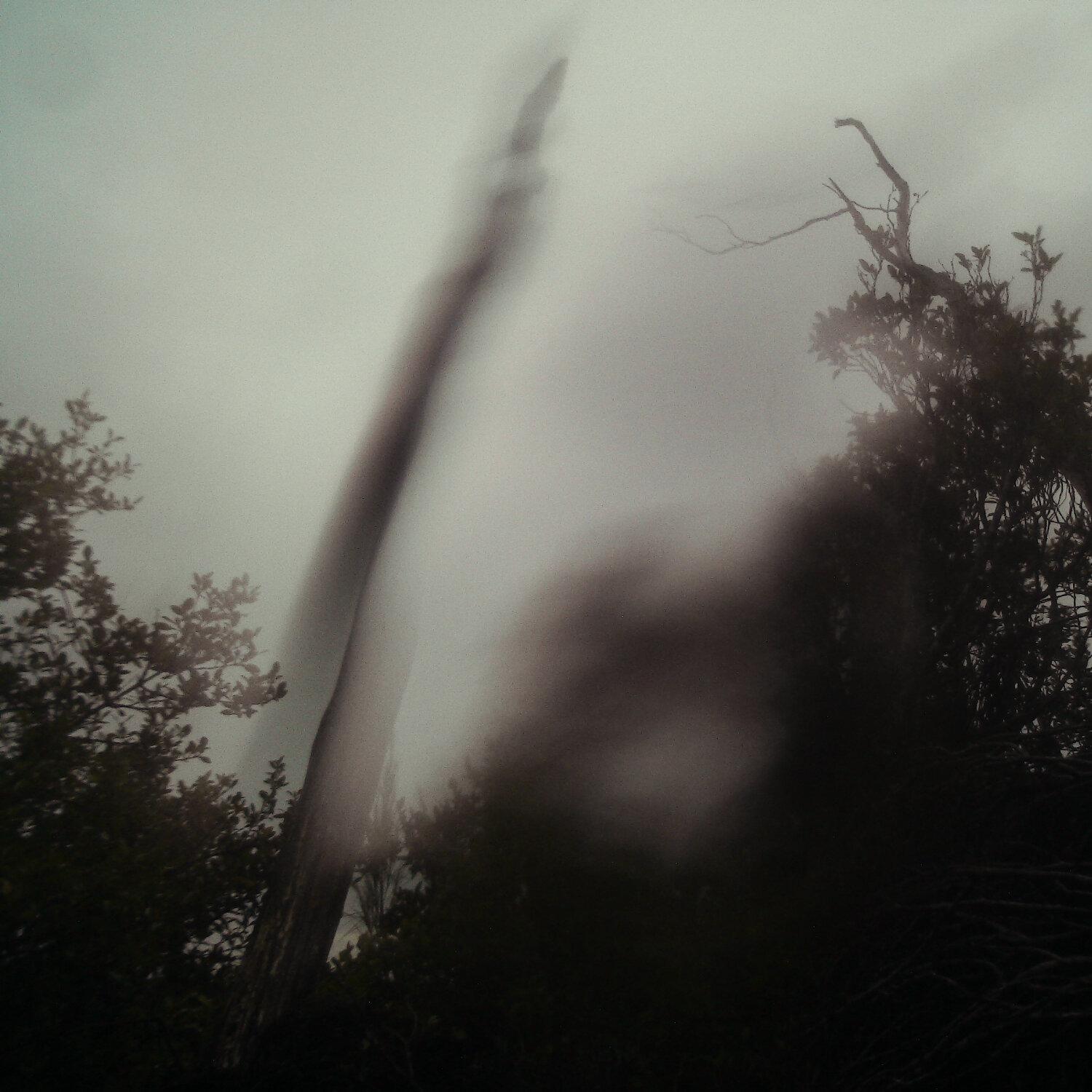 A photo captured from the webcam at the time the audio was recorded