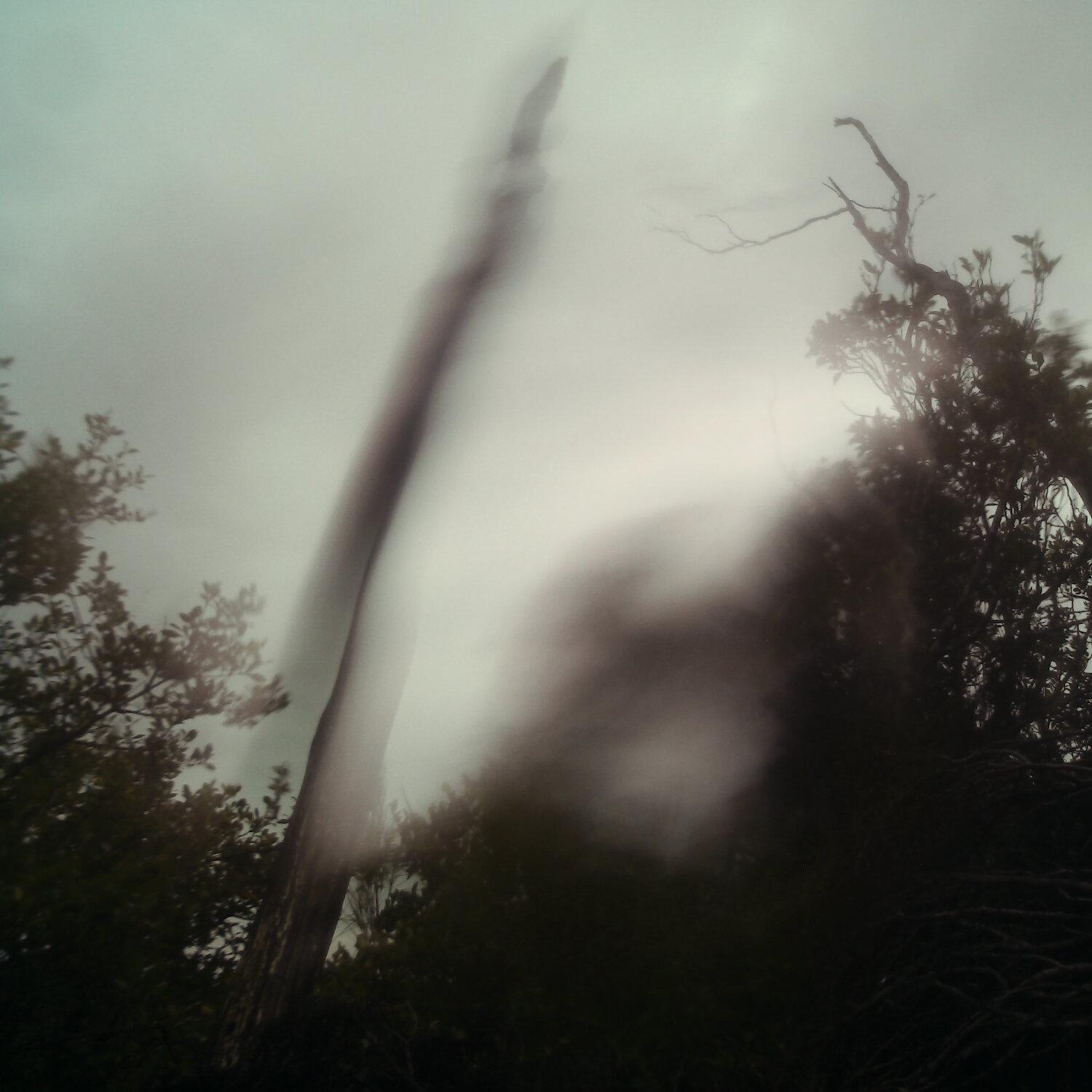 A photo captured from the webcam at the time the audio was recorded